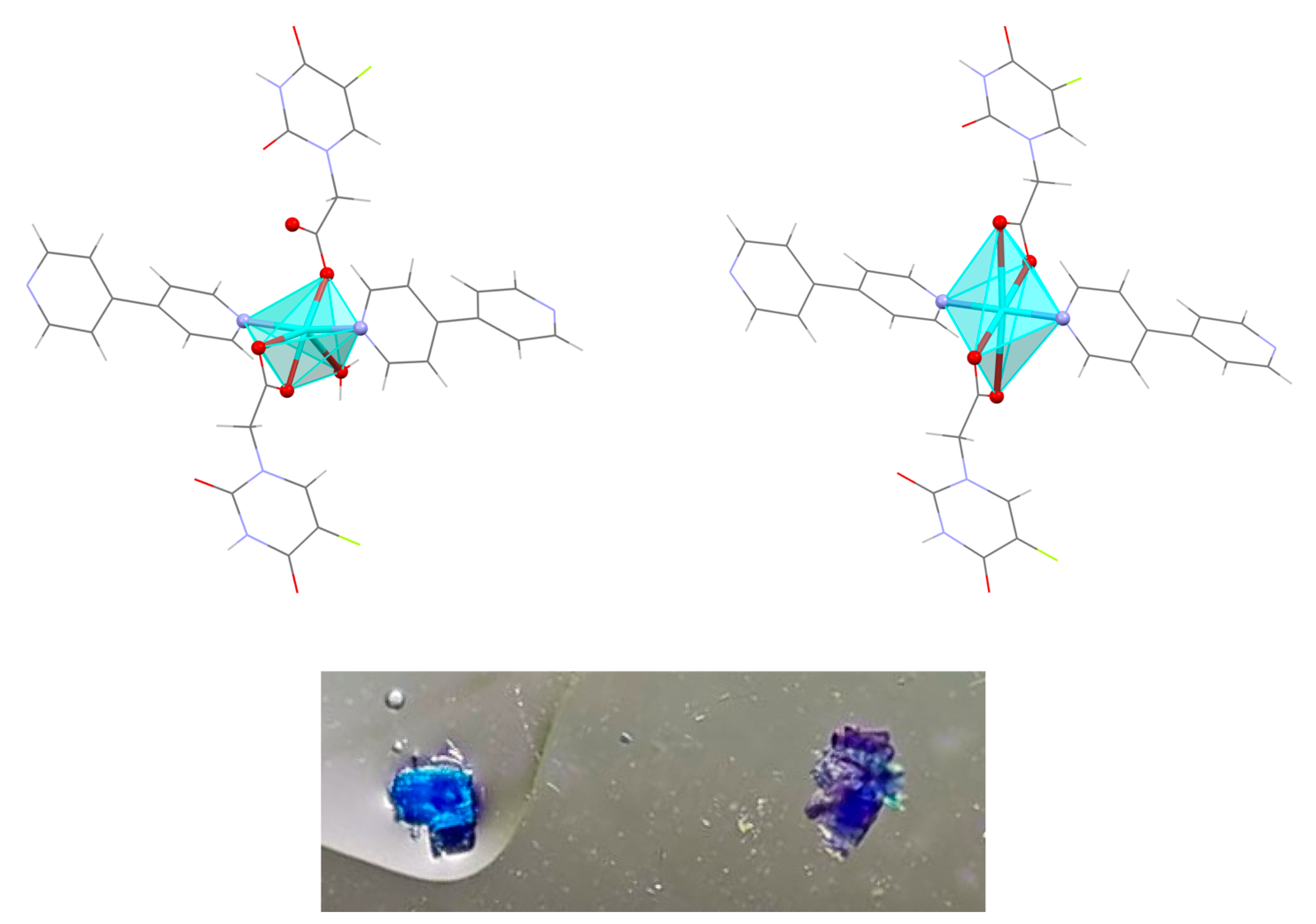 Polymers 15 02827 g005