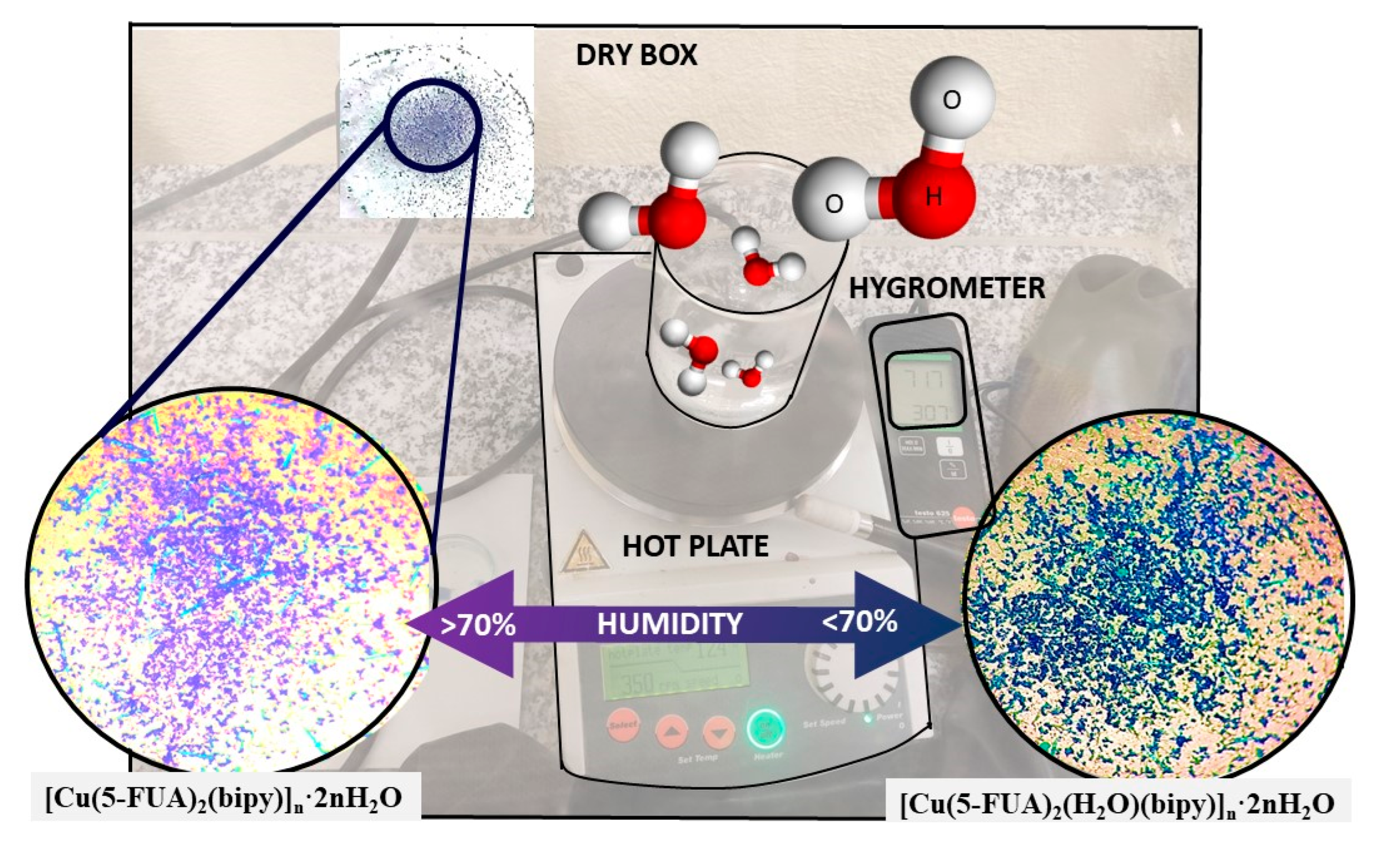 Polymers 15 02827 g006