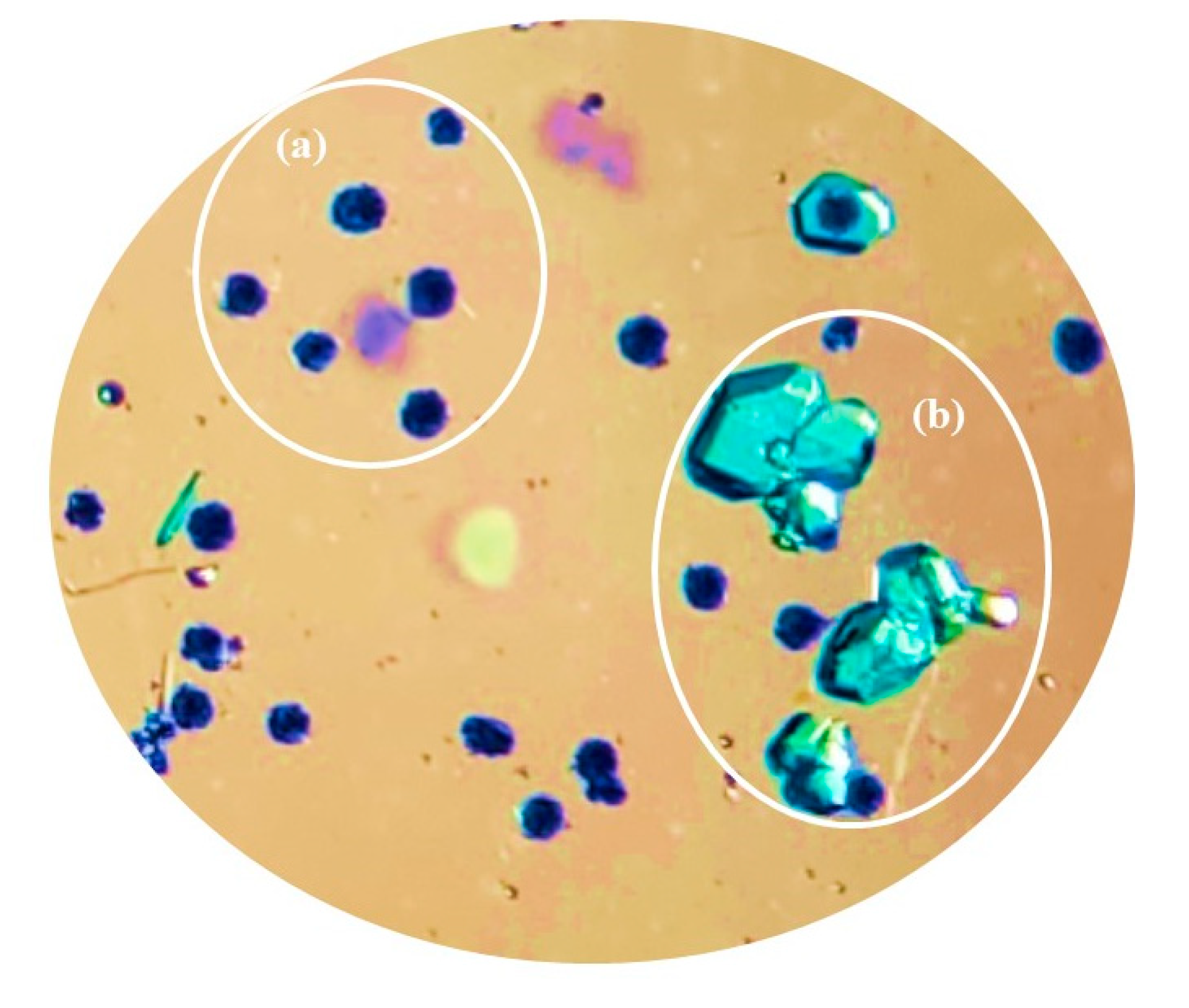 Polymers 15 02827 g007