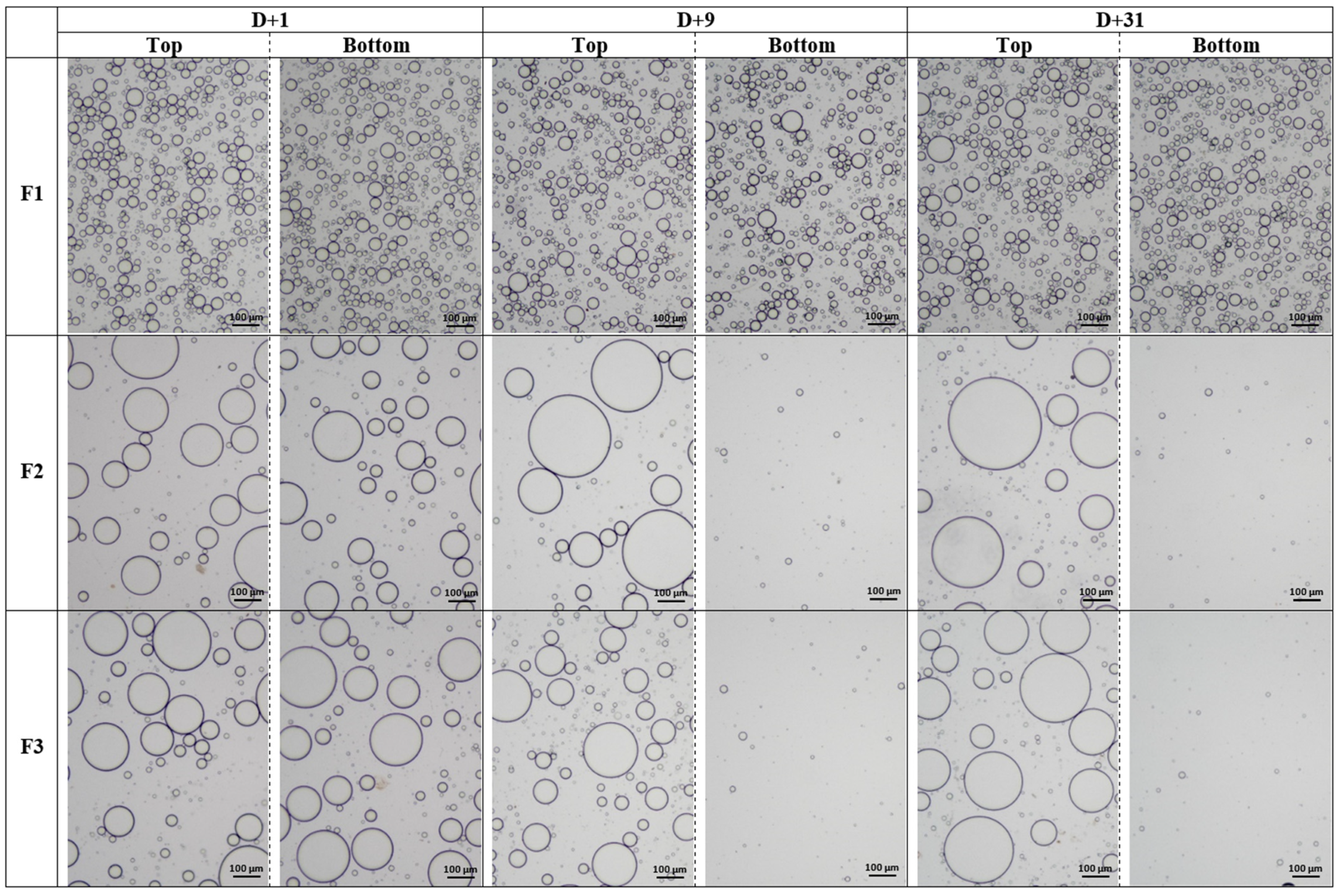 Polymers 15 02828 g002 Polymers 15 02828 g002