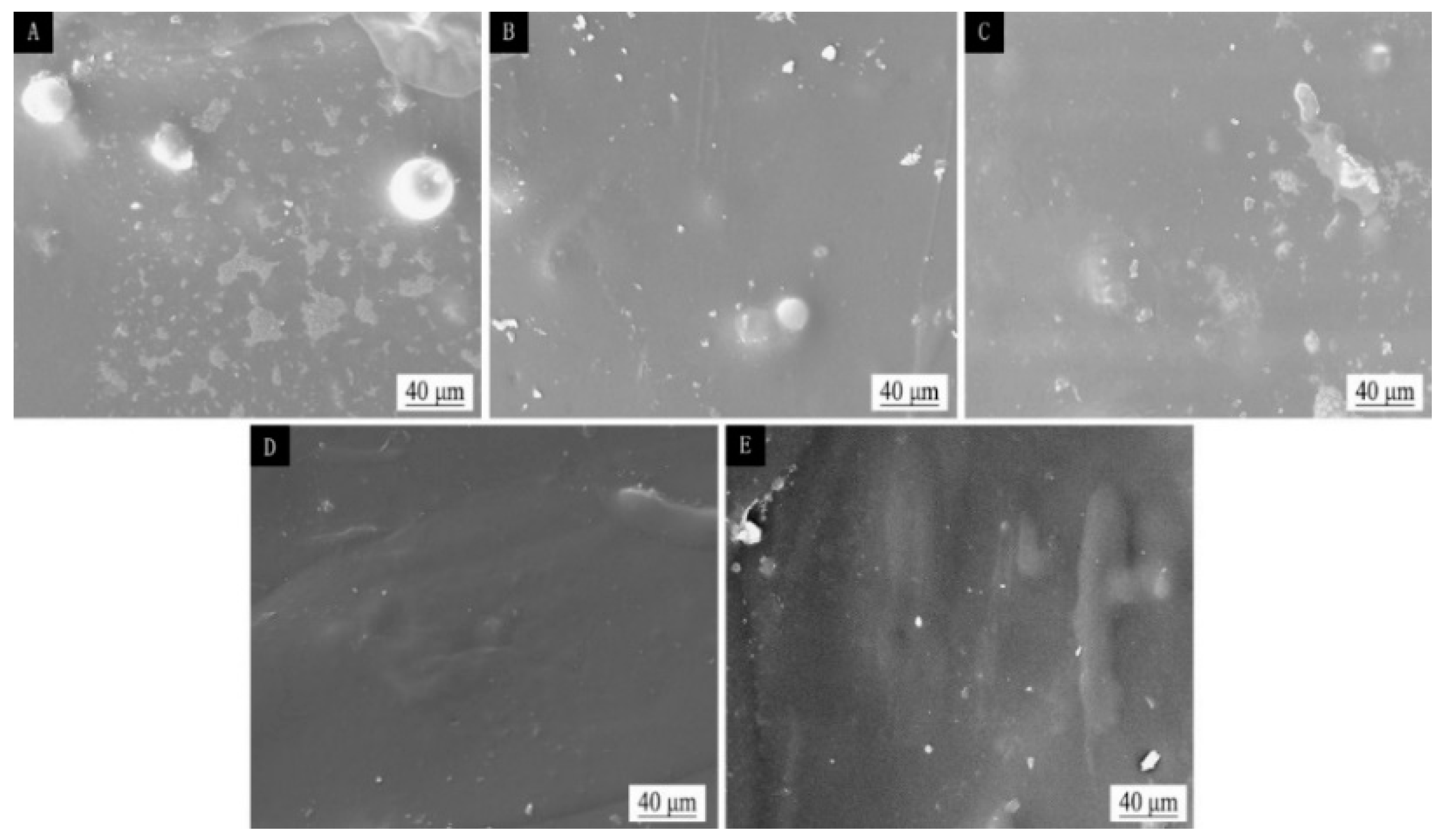 Polymers 15 02835 g006