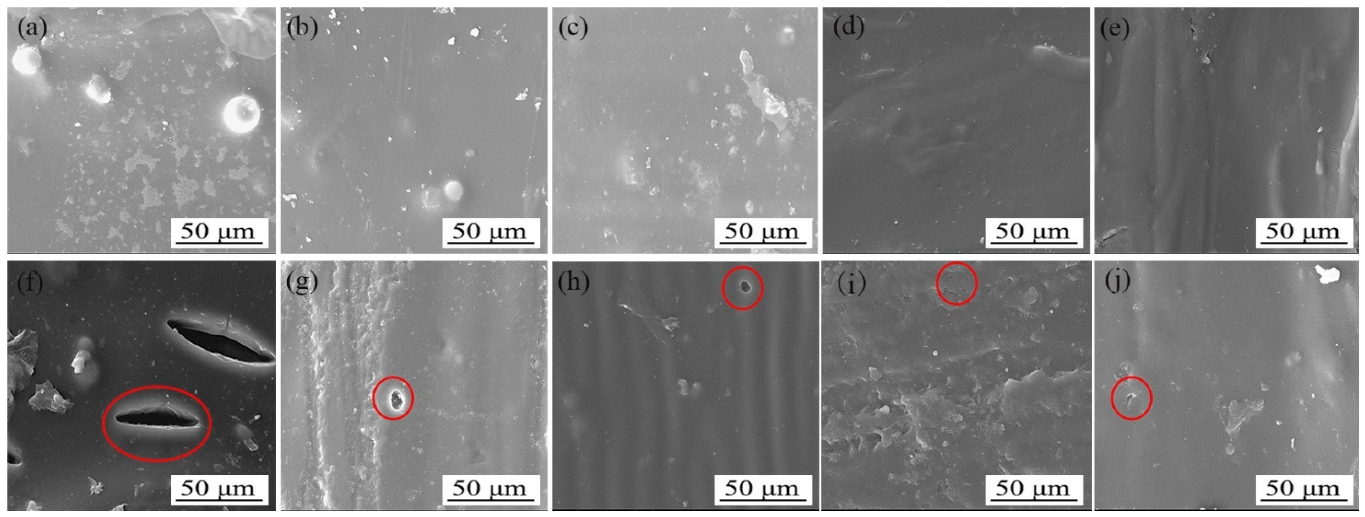 Polymers 15 02835 g012