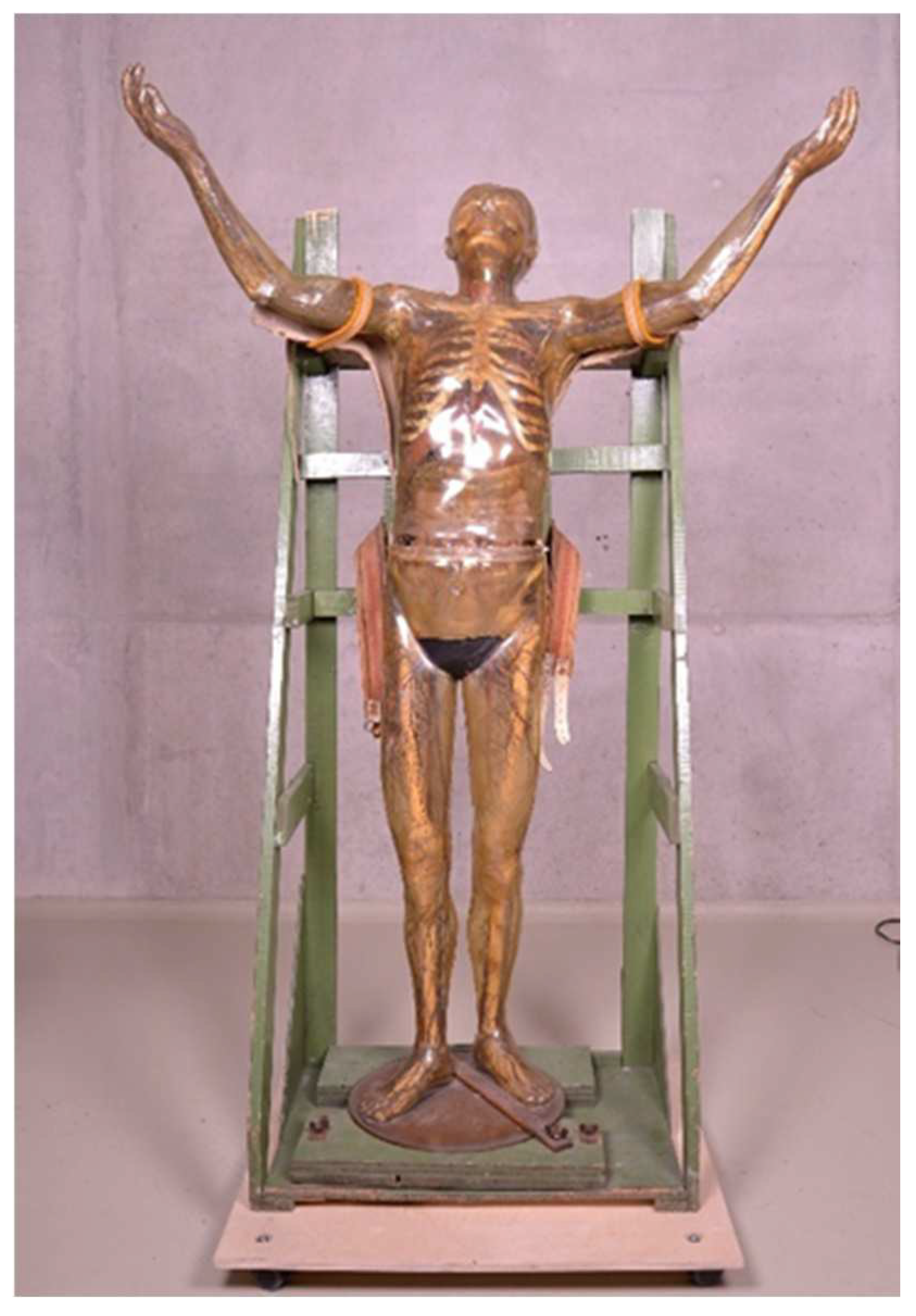 Polymers 15 02838 g001