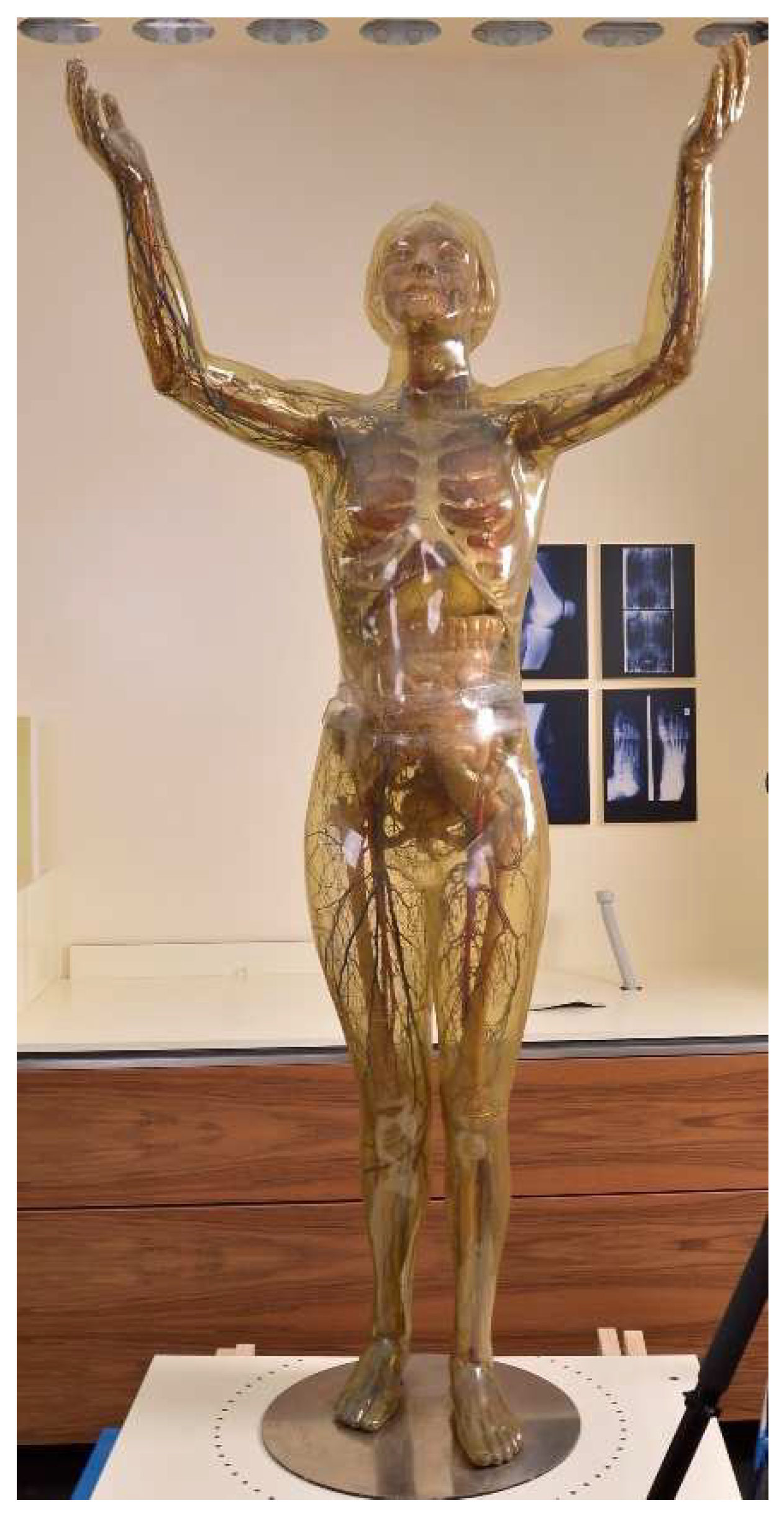 Polymers 15 02838 g002