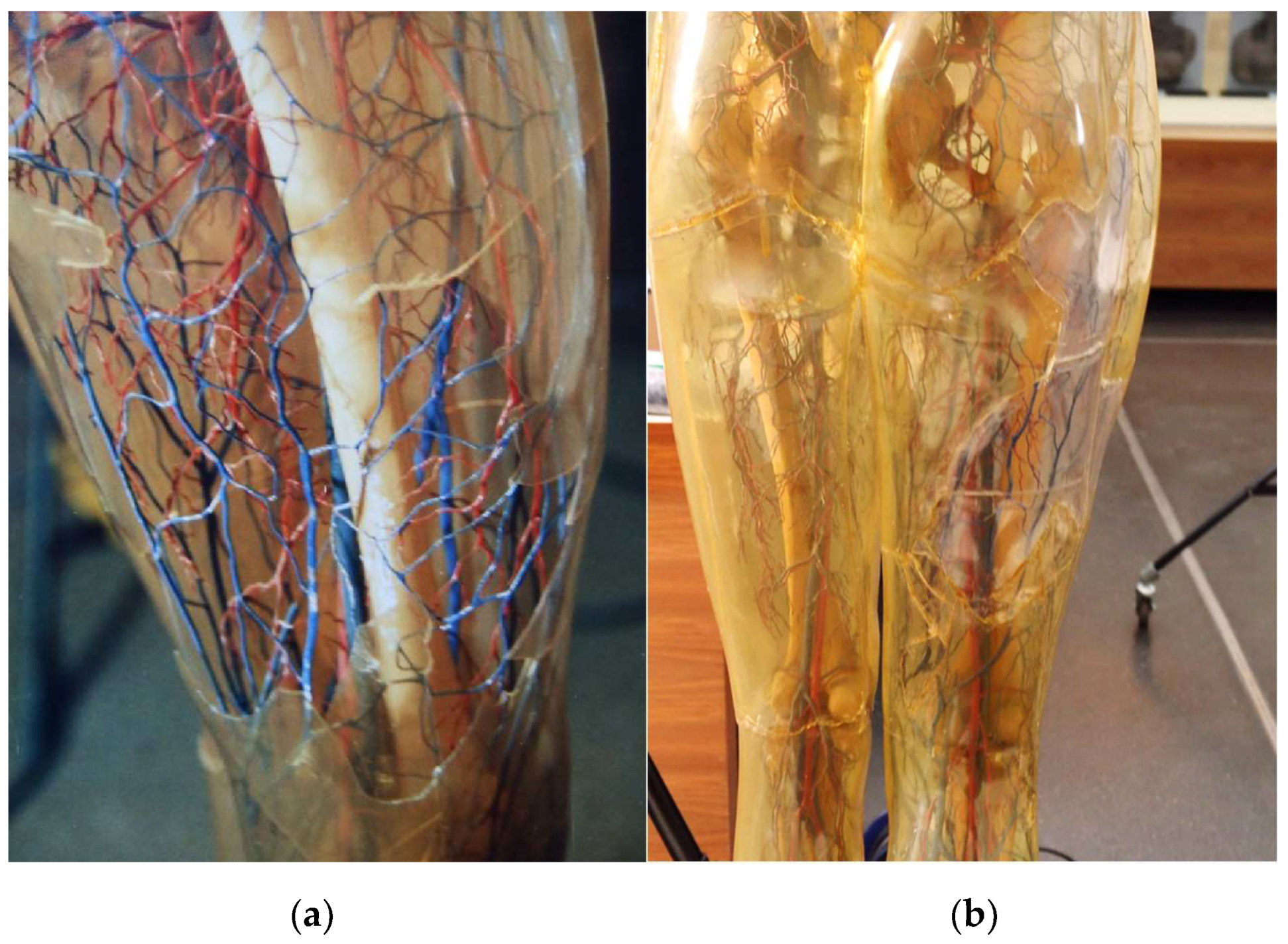 Polymers 15 02838 g003