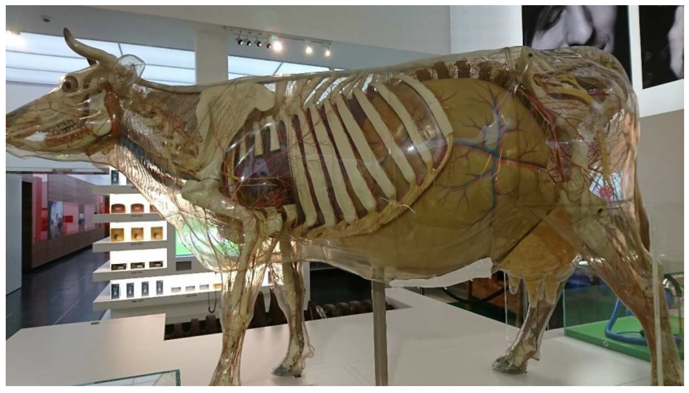 Polymers 15 02838 g005