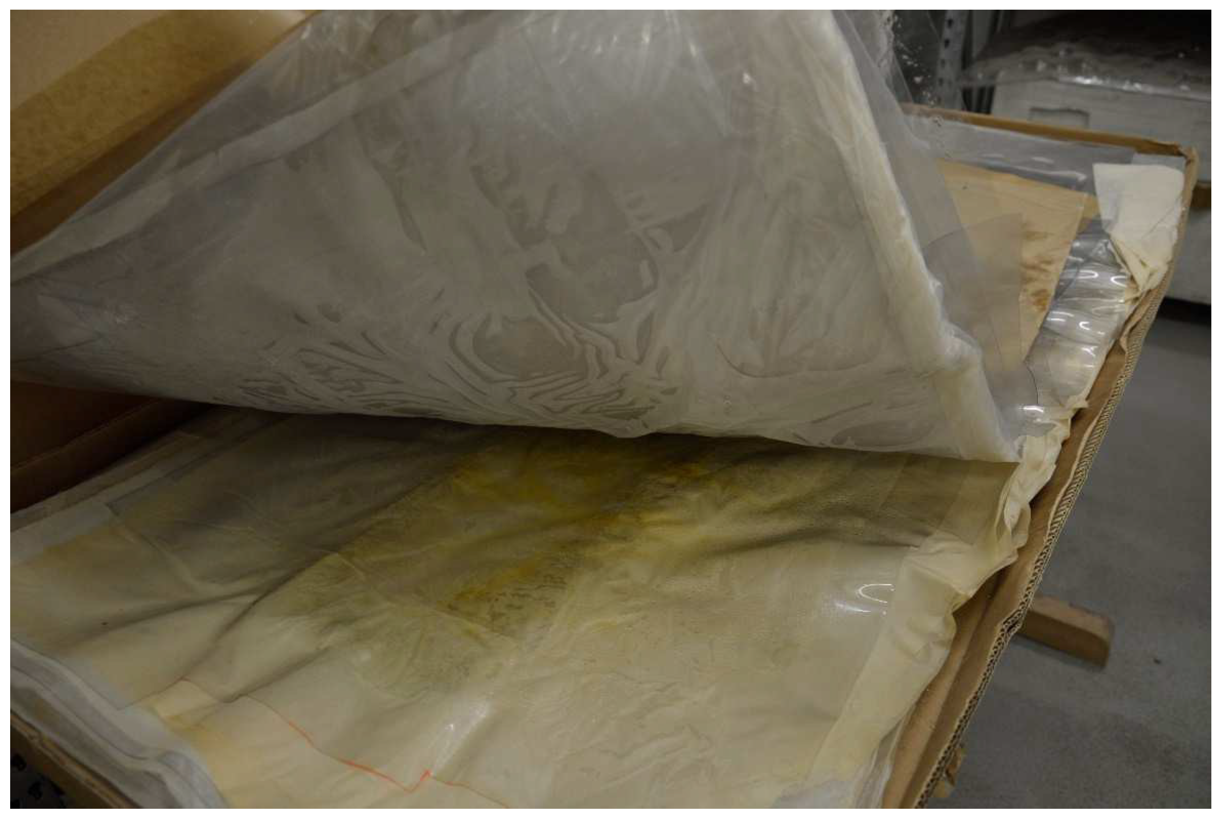 Polymers 15 02838 g007