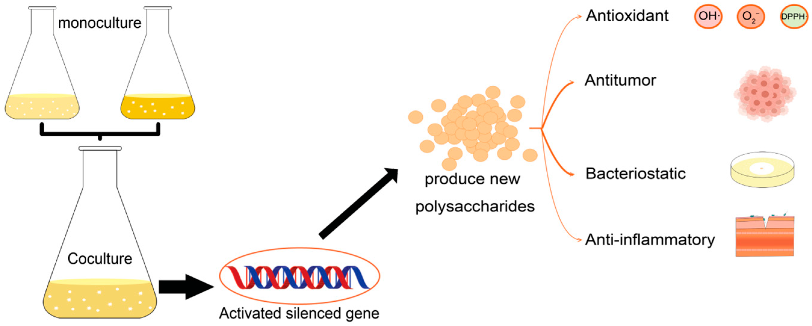 Advances in Polysaccharide Production Based on the Co