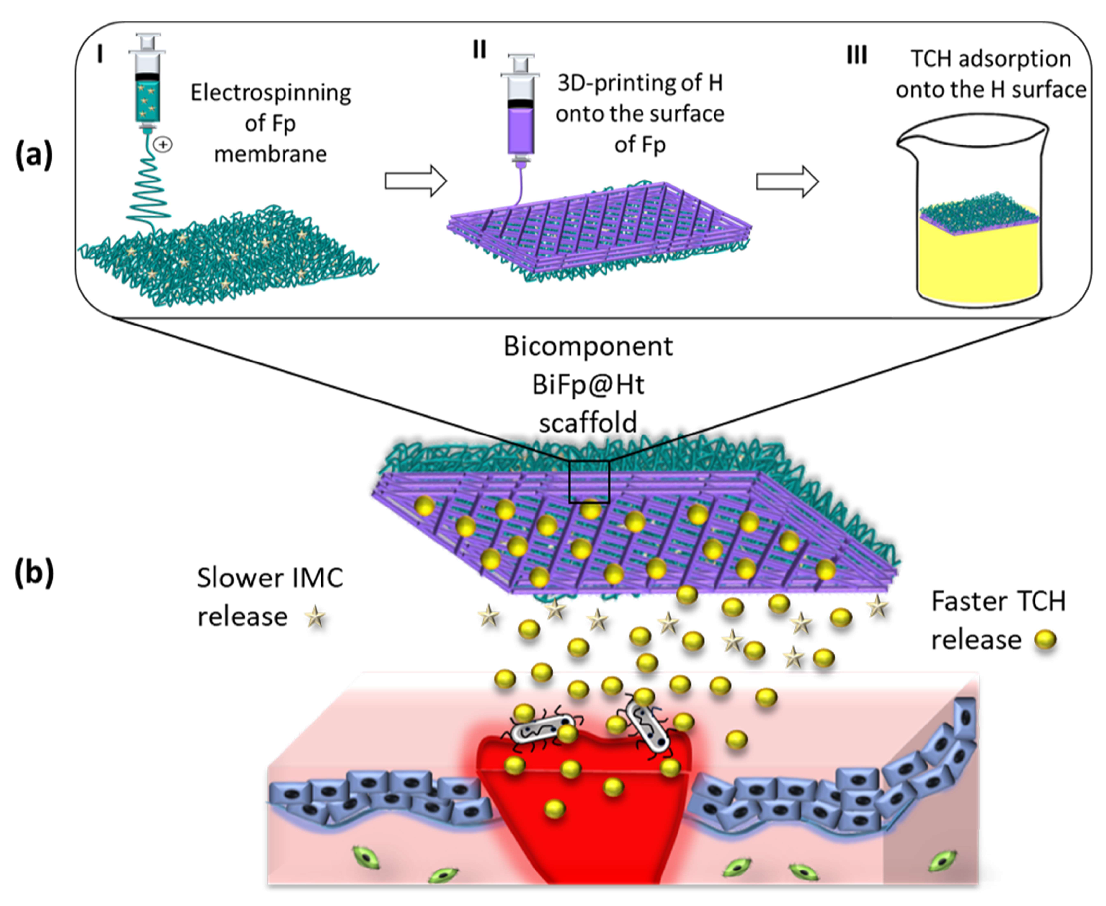 Polymers 15 02854 g001 Polymers 15 02854 g001