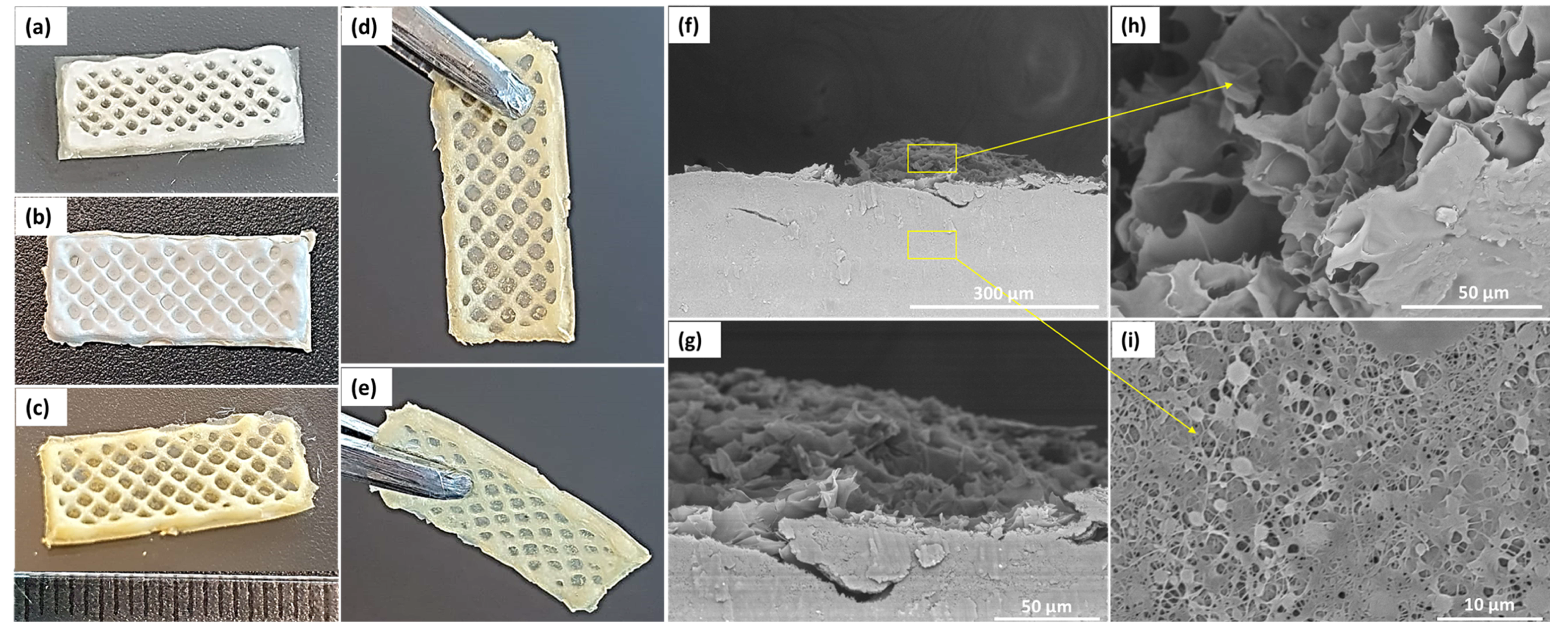 Polymers 15 02854 g004 Polymers 15 02854 g004