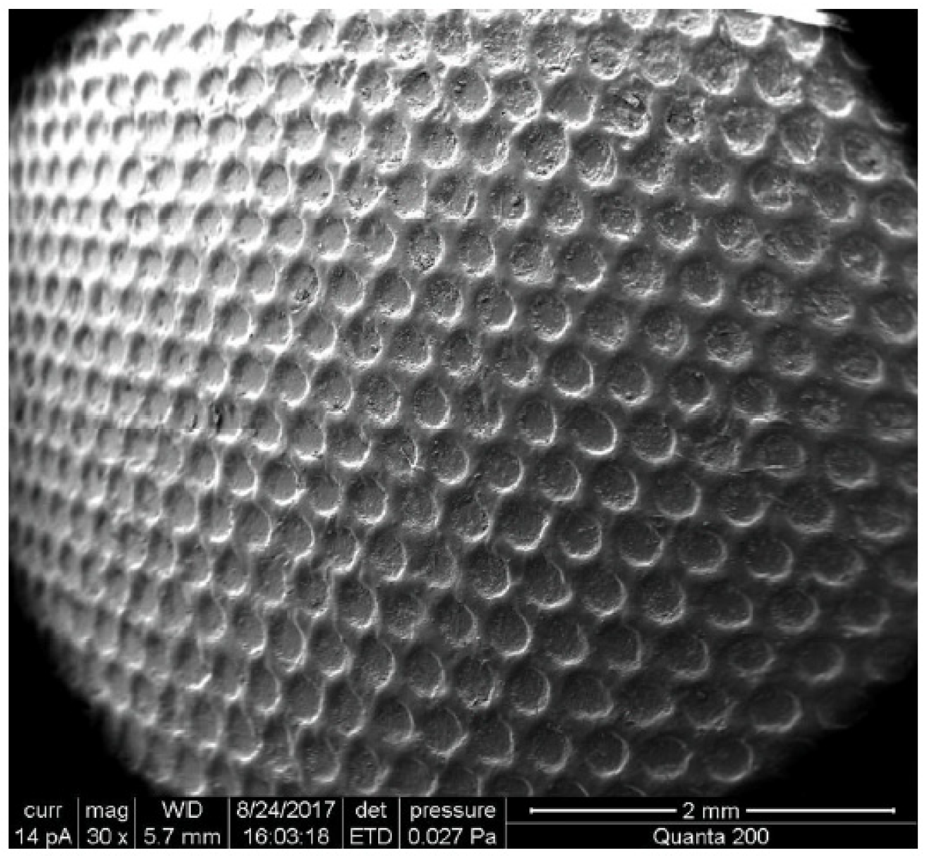 Polymers 15 02858 g002