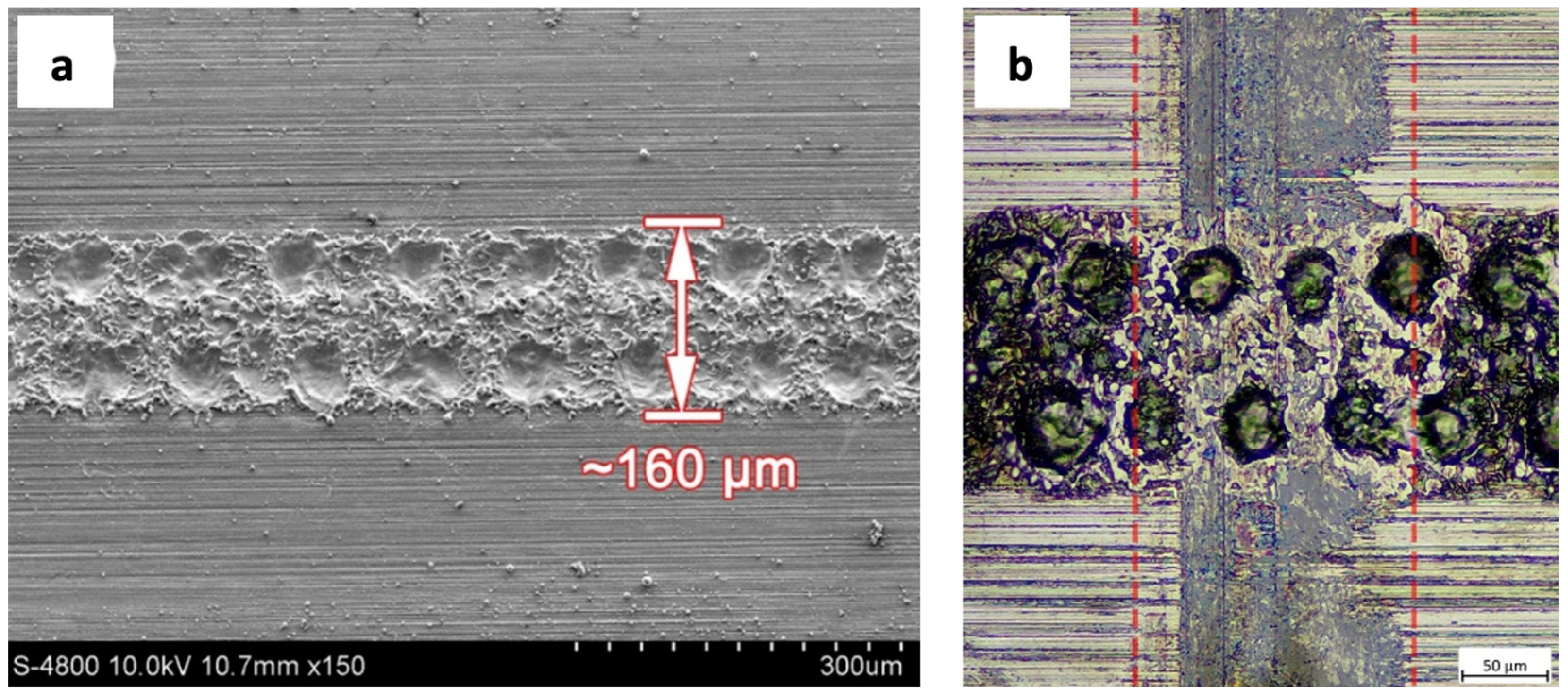 Polymers 15 02858 g004