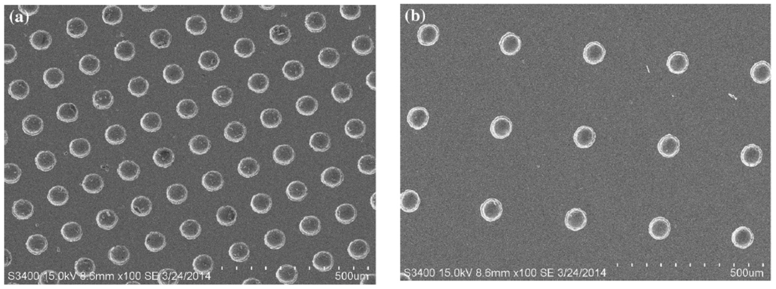 Polymers 15 02858 g005