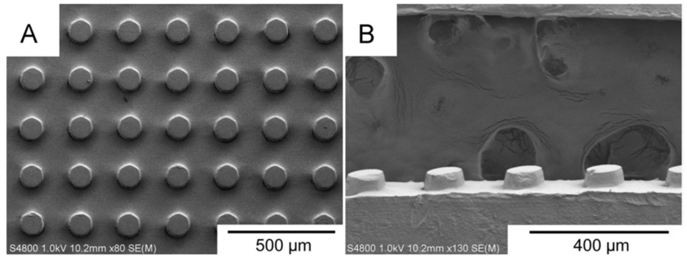 Polymers 15 02858 g006