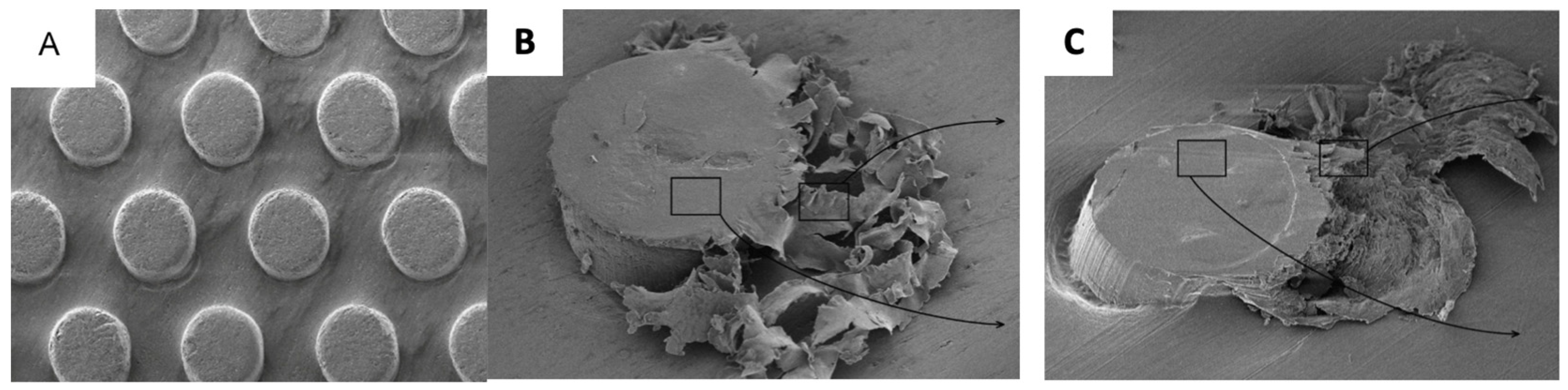 Polymers 15 02858 g007