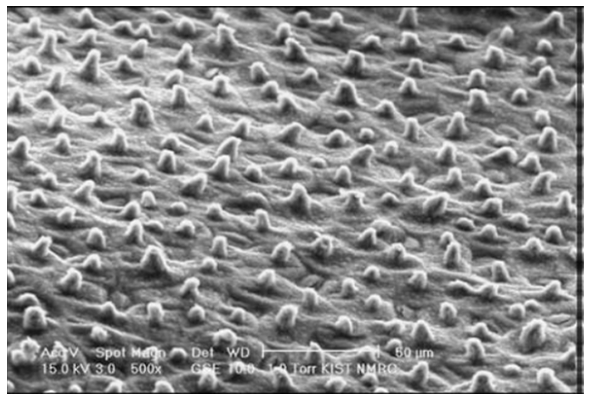 Polymers 15 02858 g010