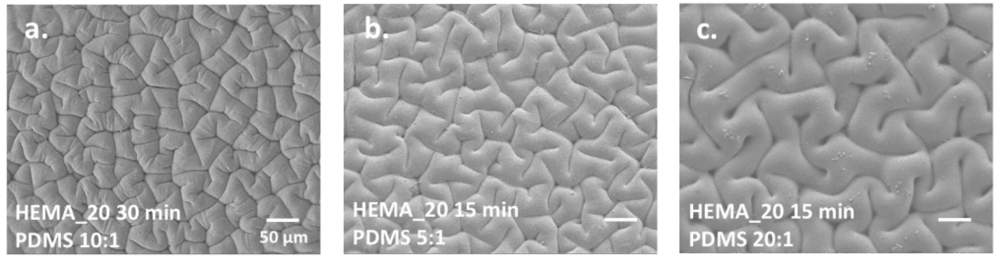 Polymers 15 02858 g011