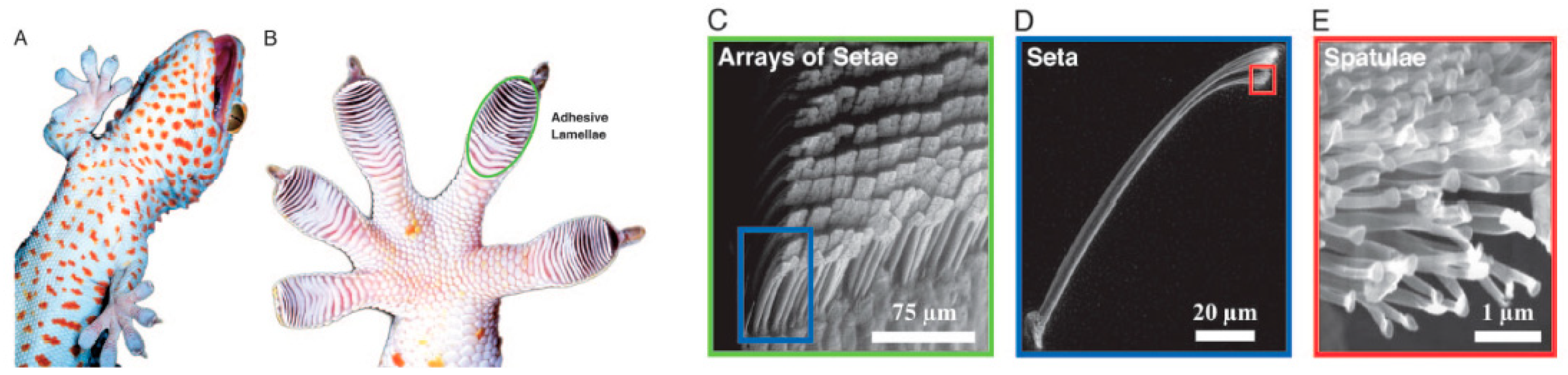 Polymers 15 02858 g012