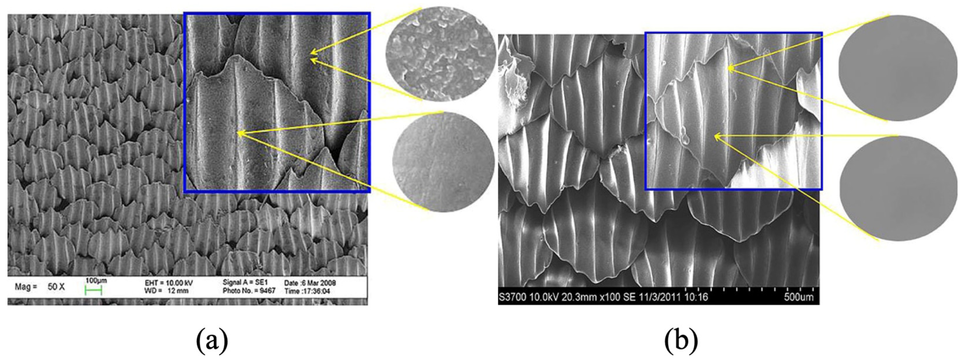 Polymers 15 02858 g013