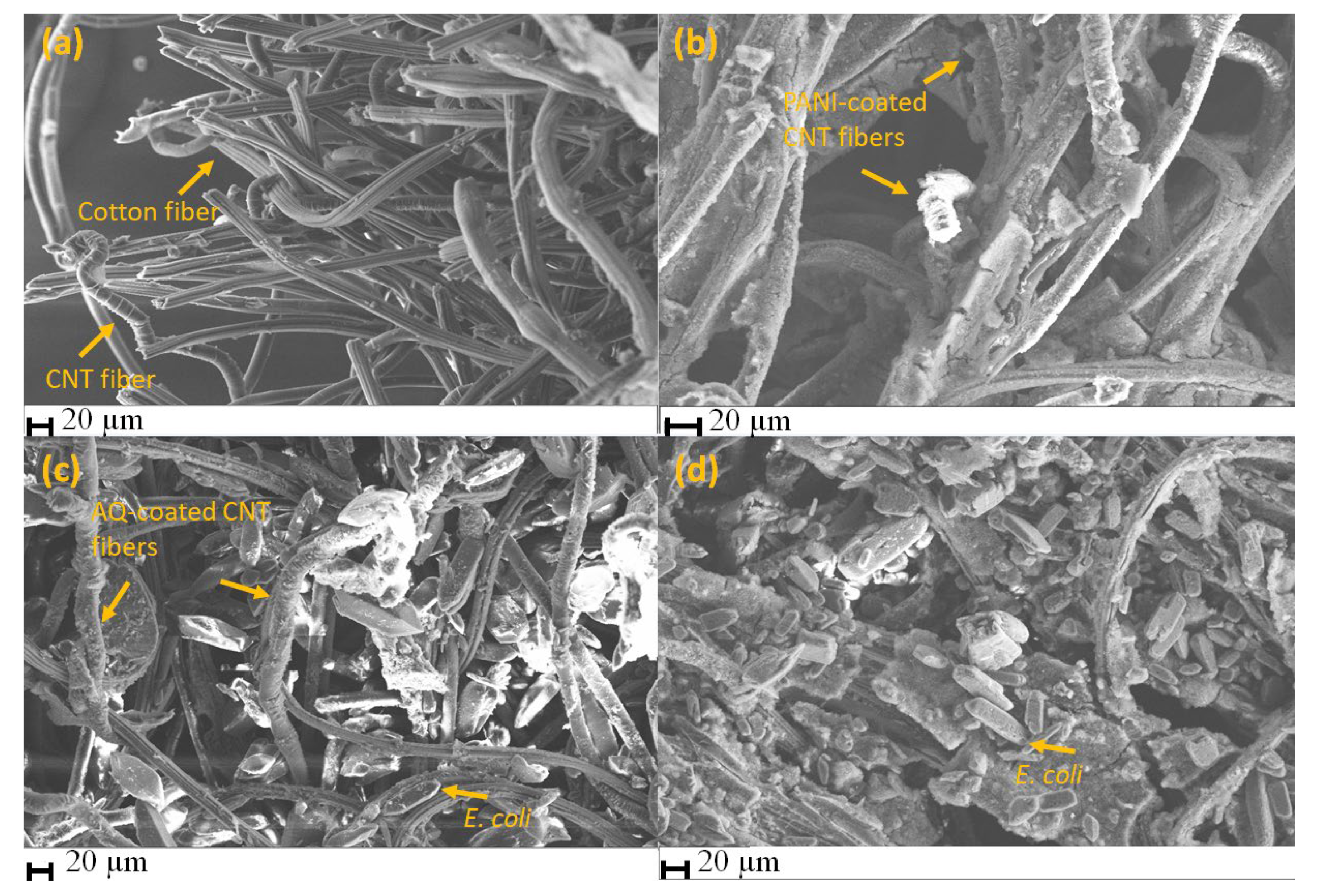 Polymers 15 02859 g002 Polymers 15 02859 g002