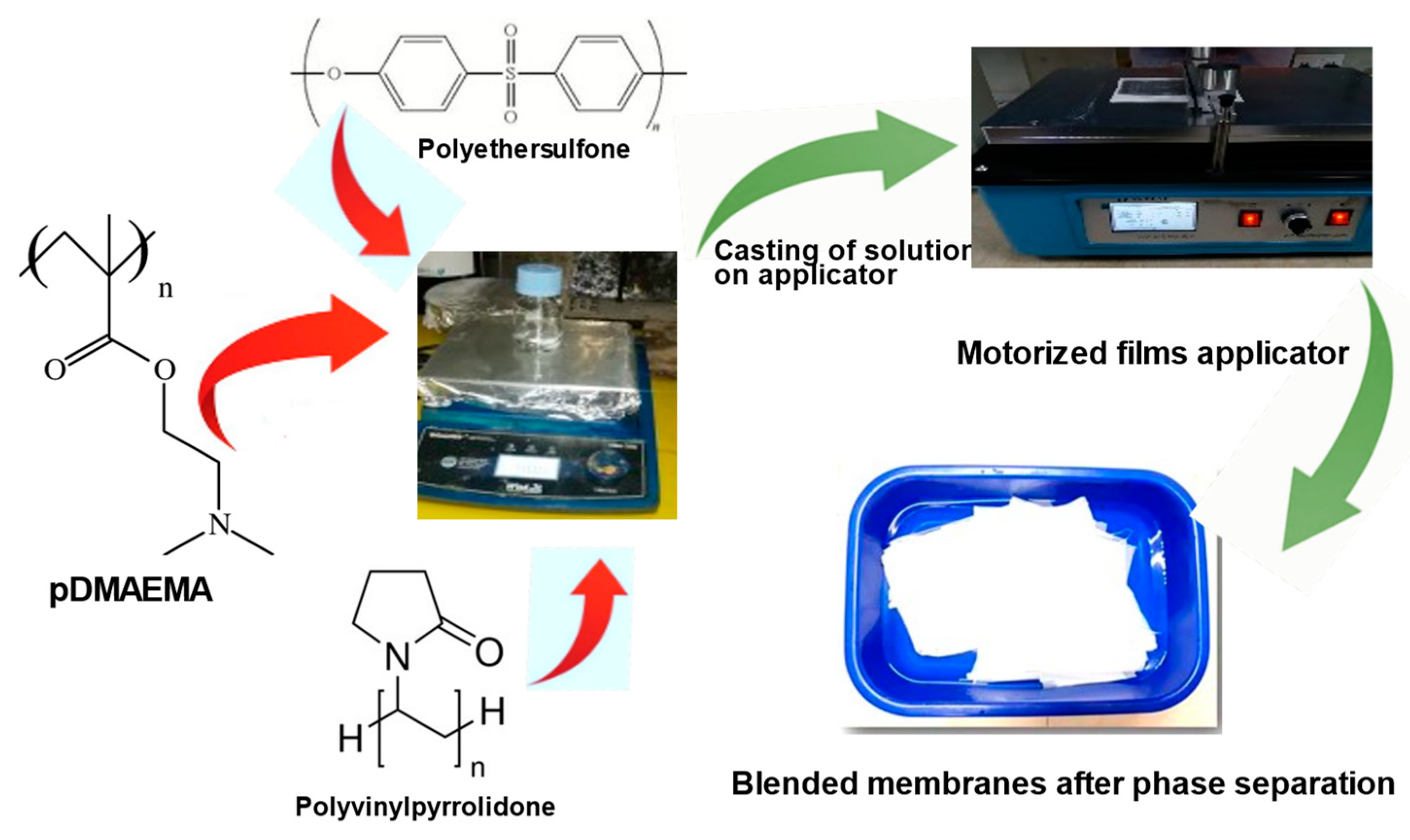Polymers 15 02868 g002