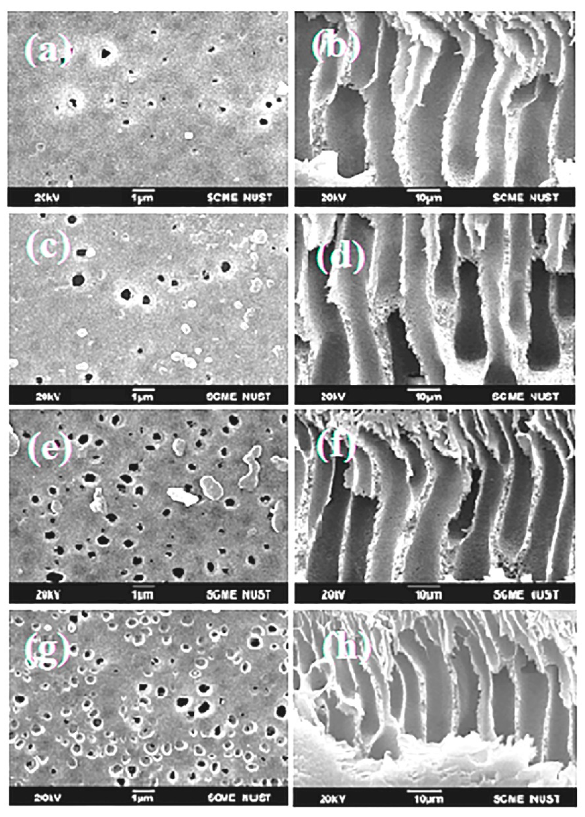 Polymers 15 02868 g009