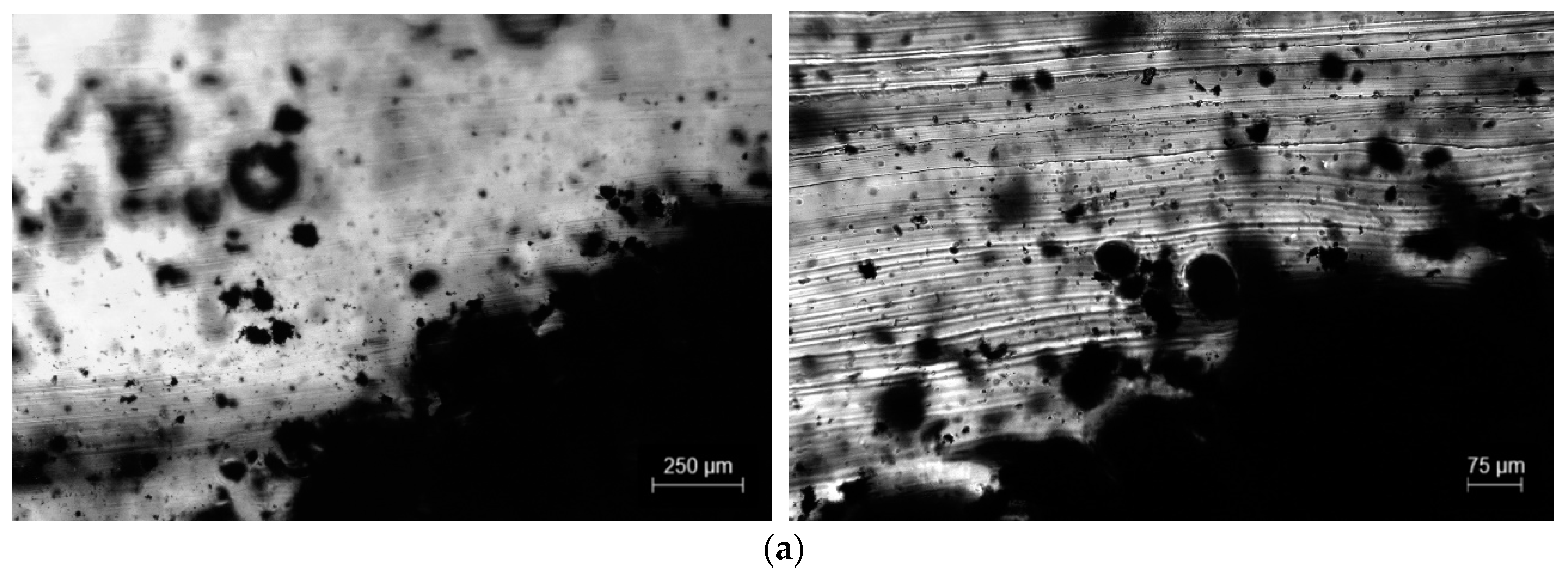 Polymers 15 02870 g008a Polymers 15 02870 g008a