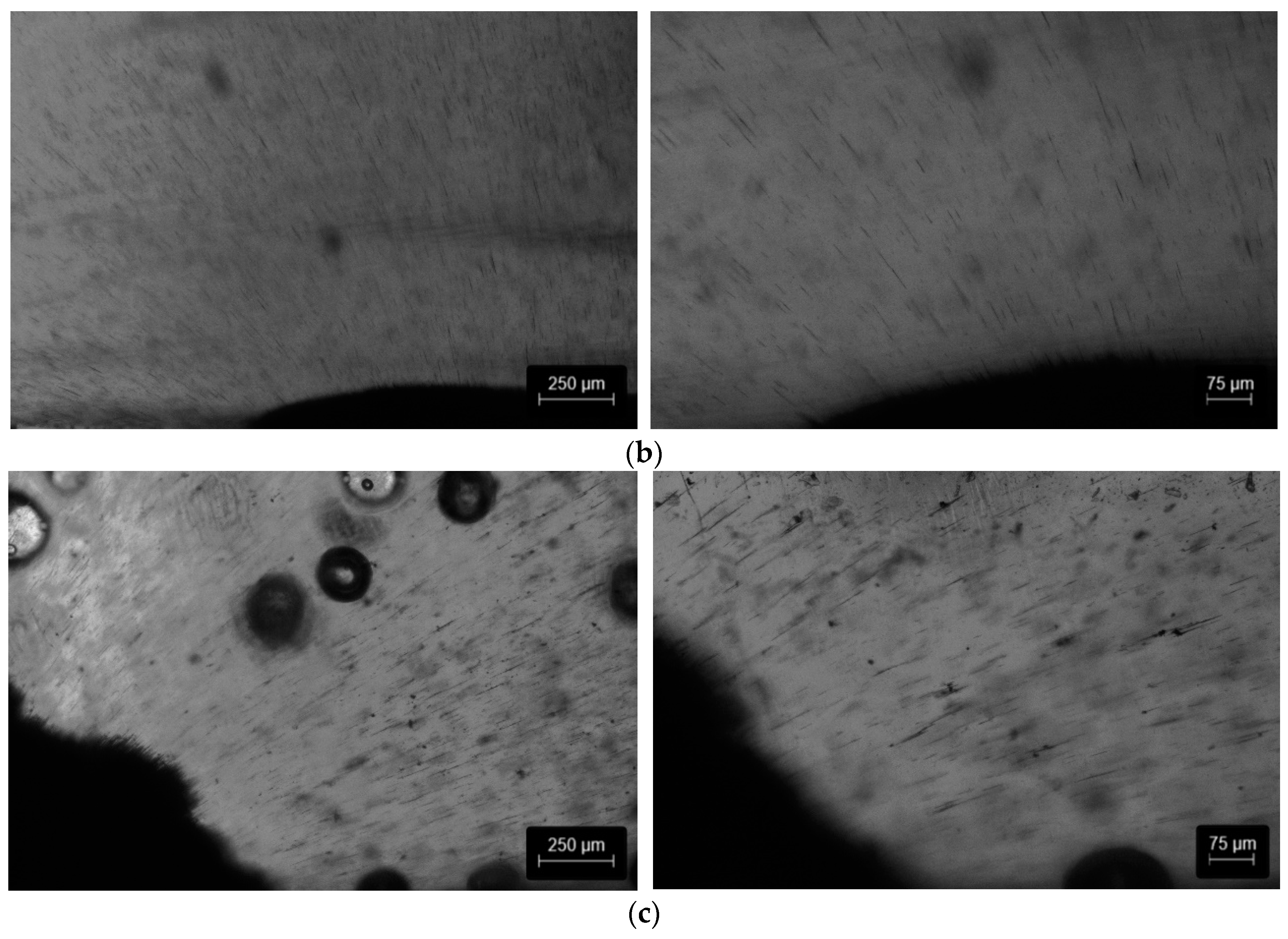 Polymers 15 02870 g008b Polymers 15 02870 g008b