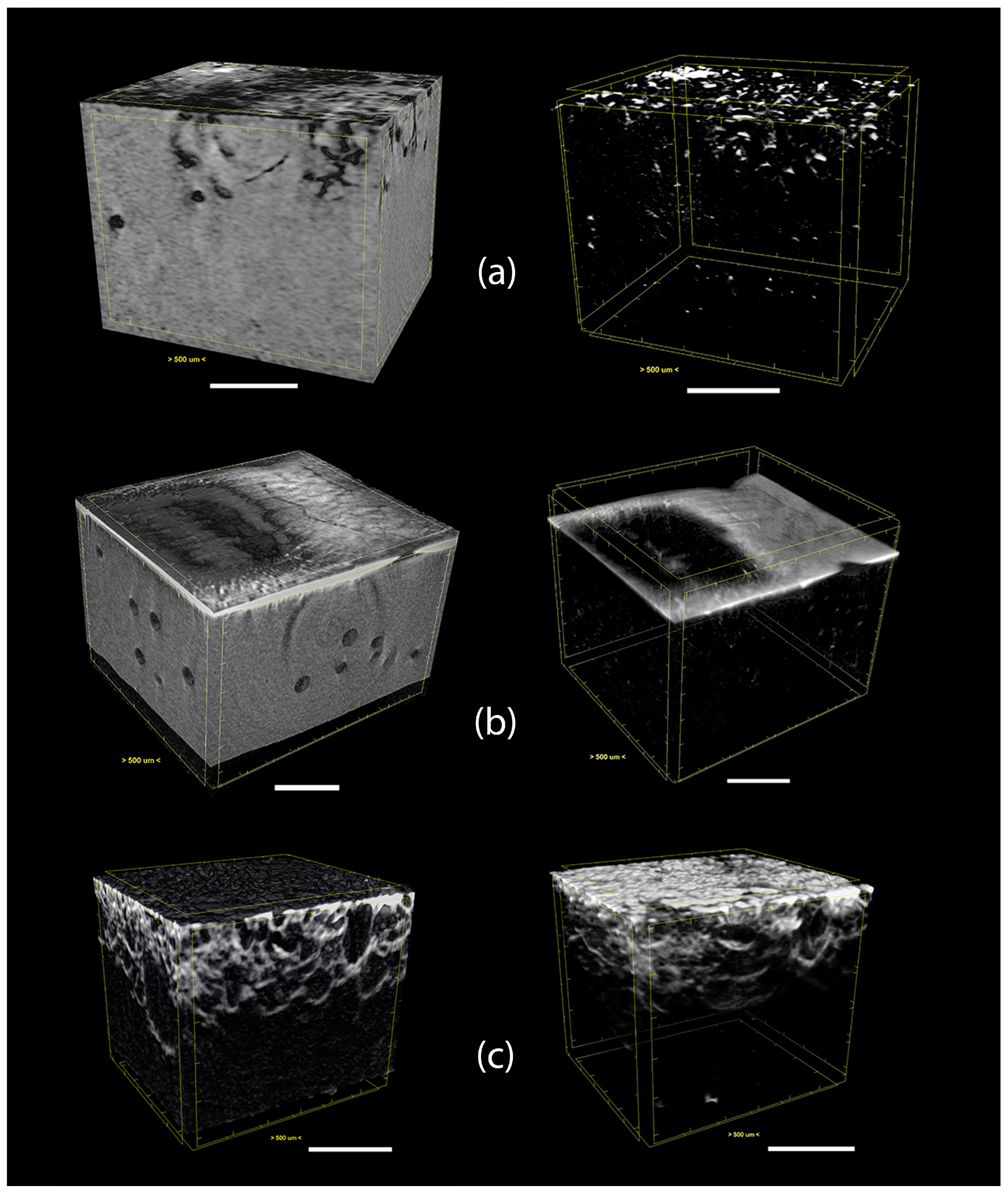 Polymers 15 02870 g009 Polymers 15 02870 g009