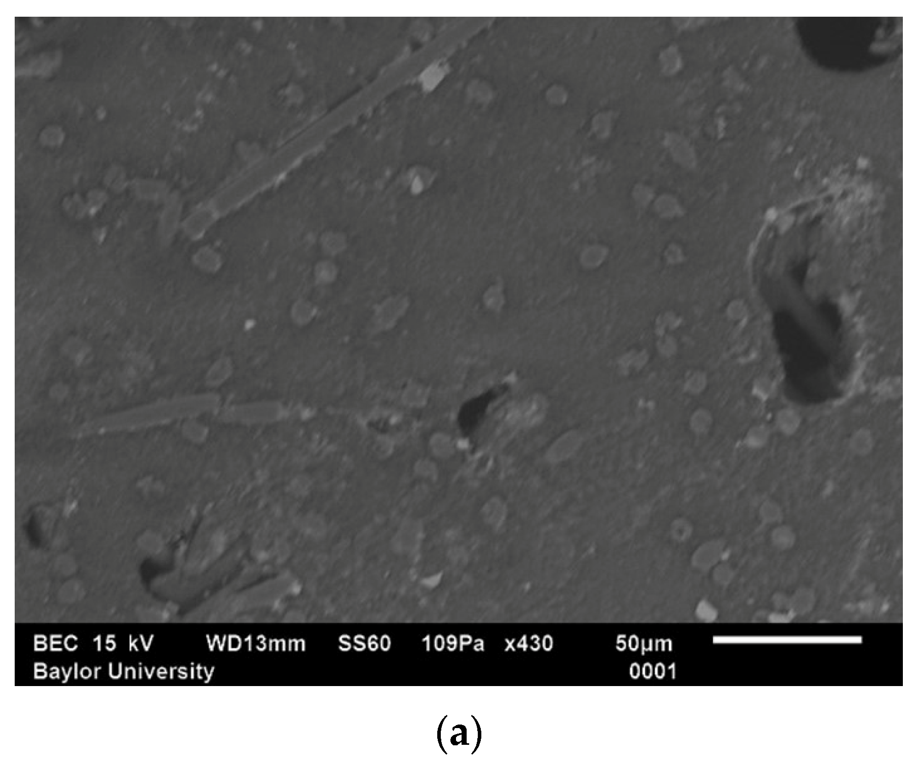 Polymers 15 02871 g001a