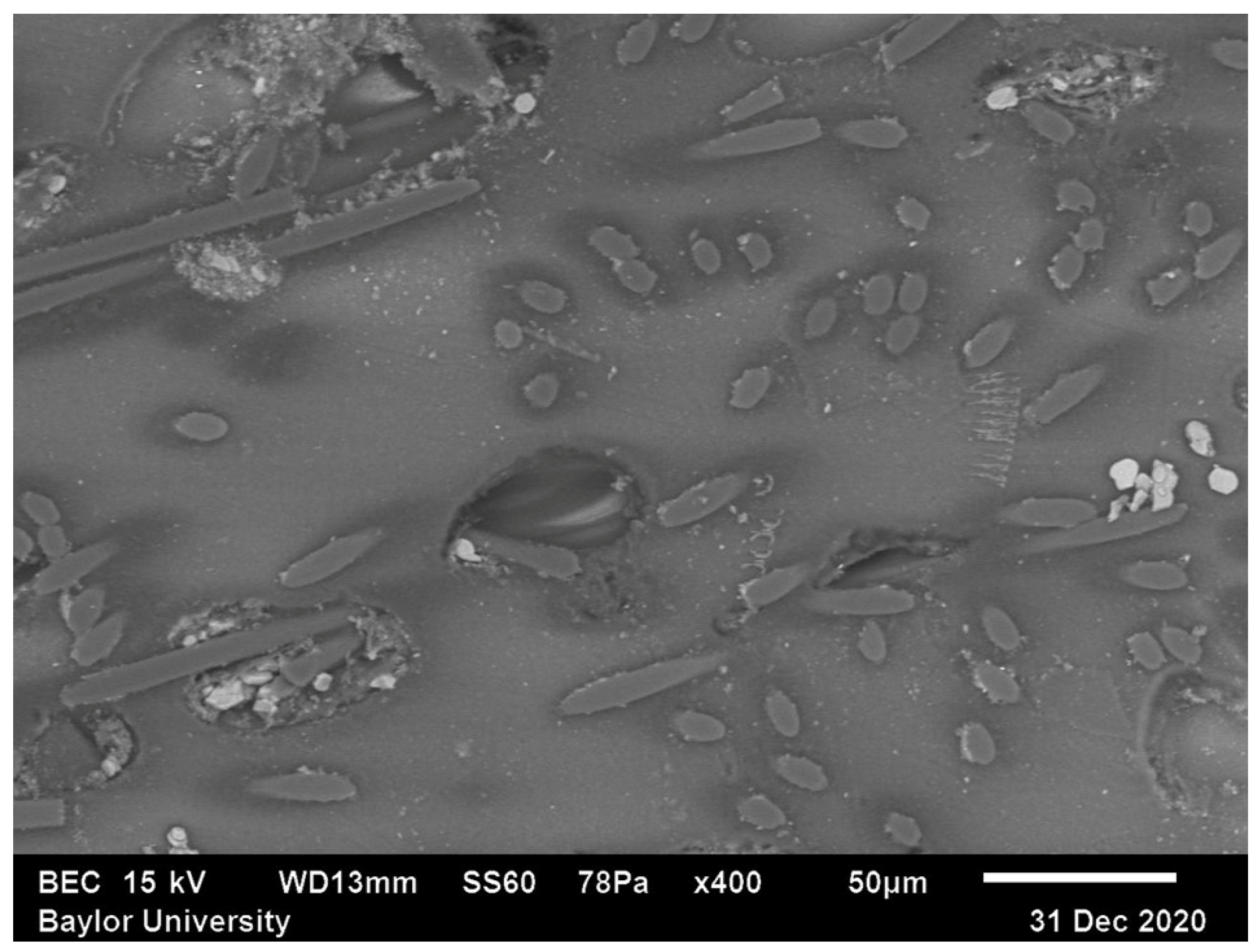Polymers 15 02871 g004