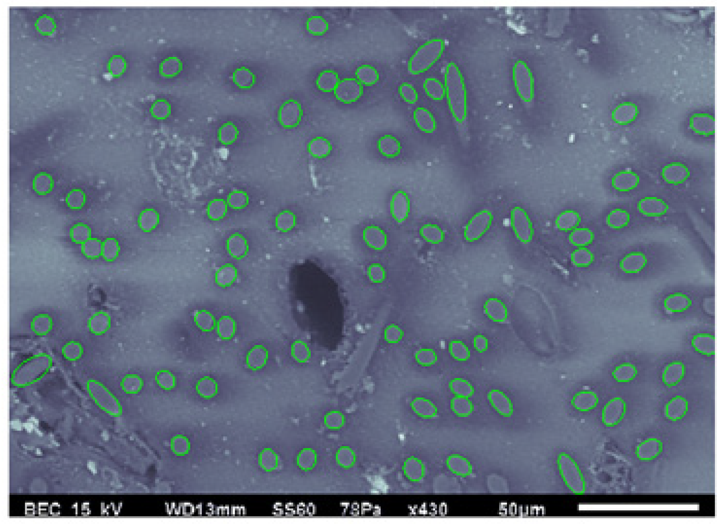 Polymers 15 02871 g008