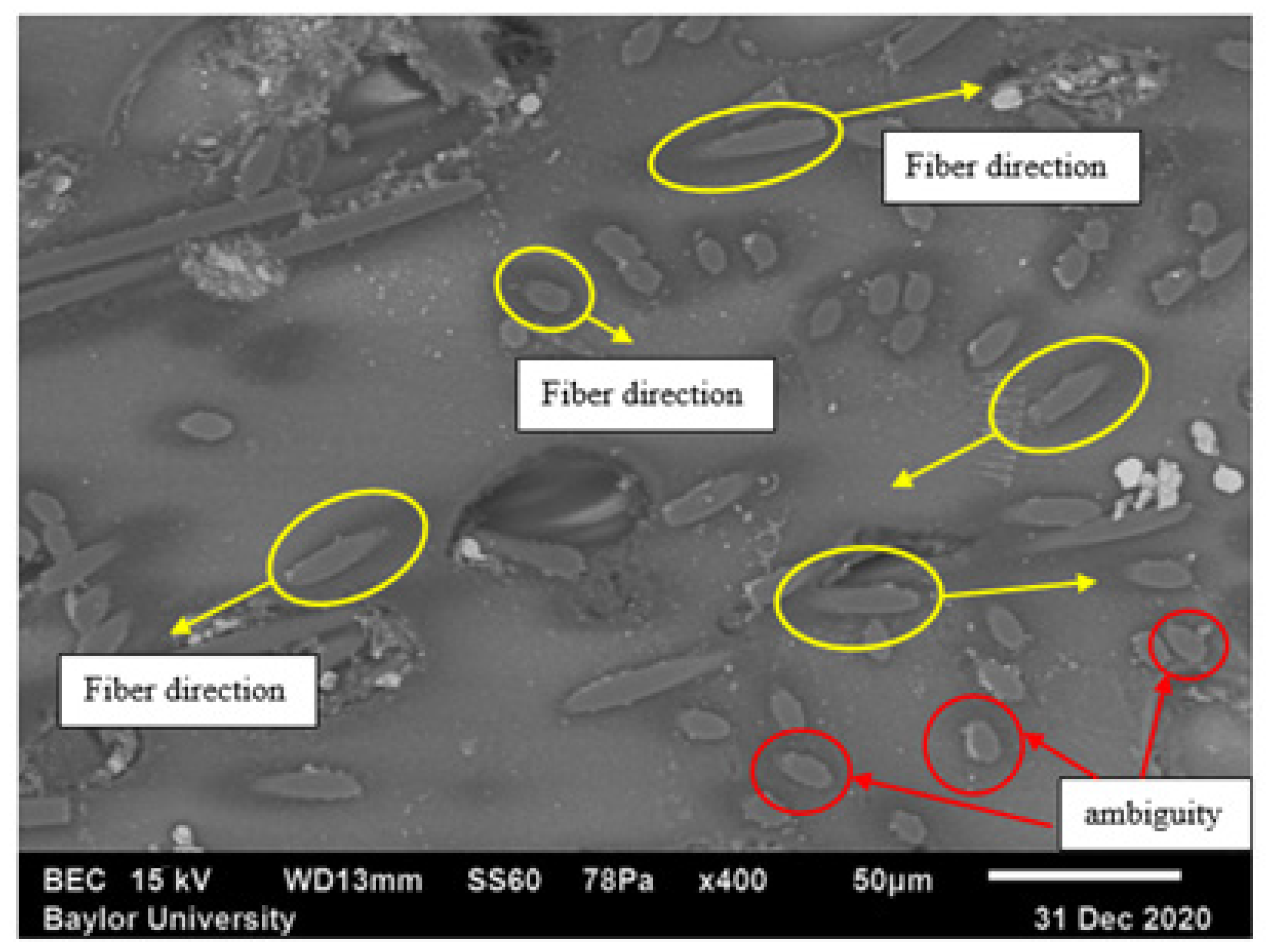 Polymers 15 02871 g016