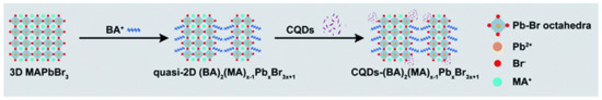 Application of Perovskite Nanocrystals as Fluorescent Probes in the ...