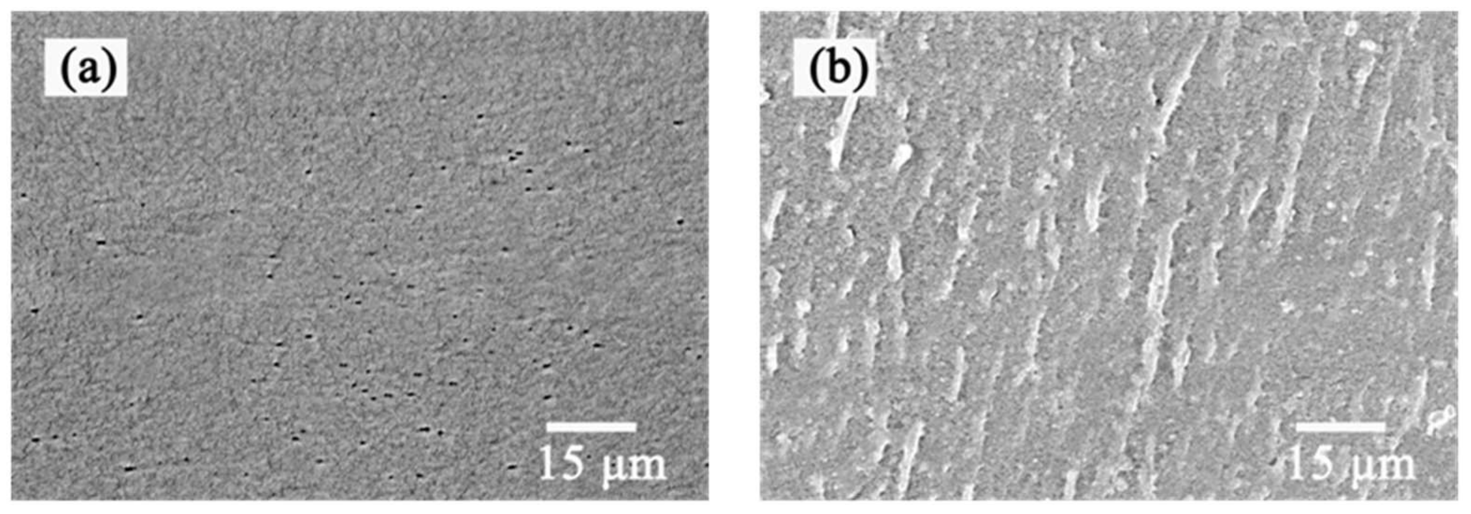 Polymers 15 02881 g003 550