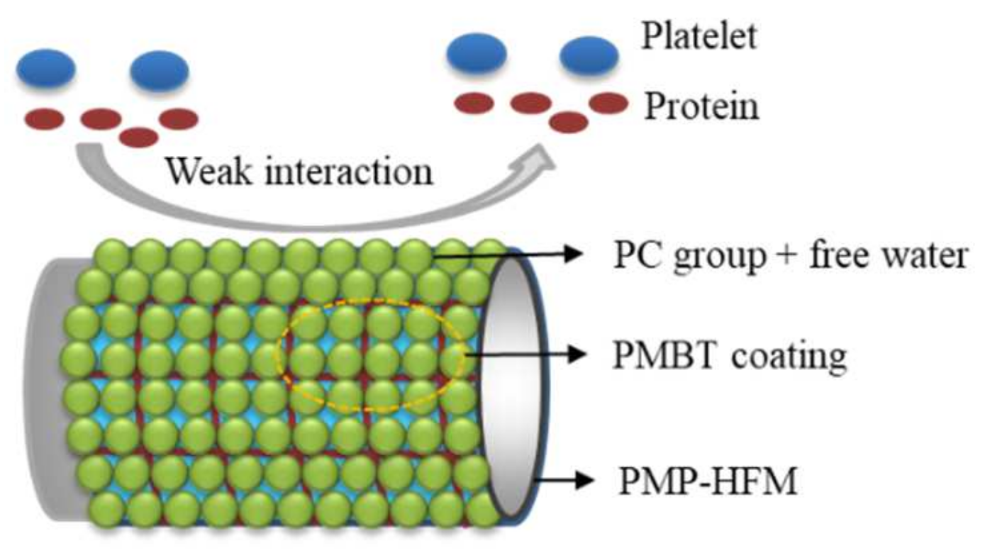 Polymers 15 02881 g008 550