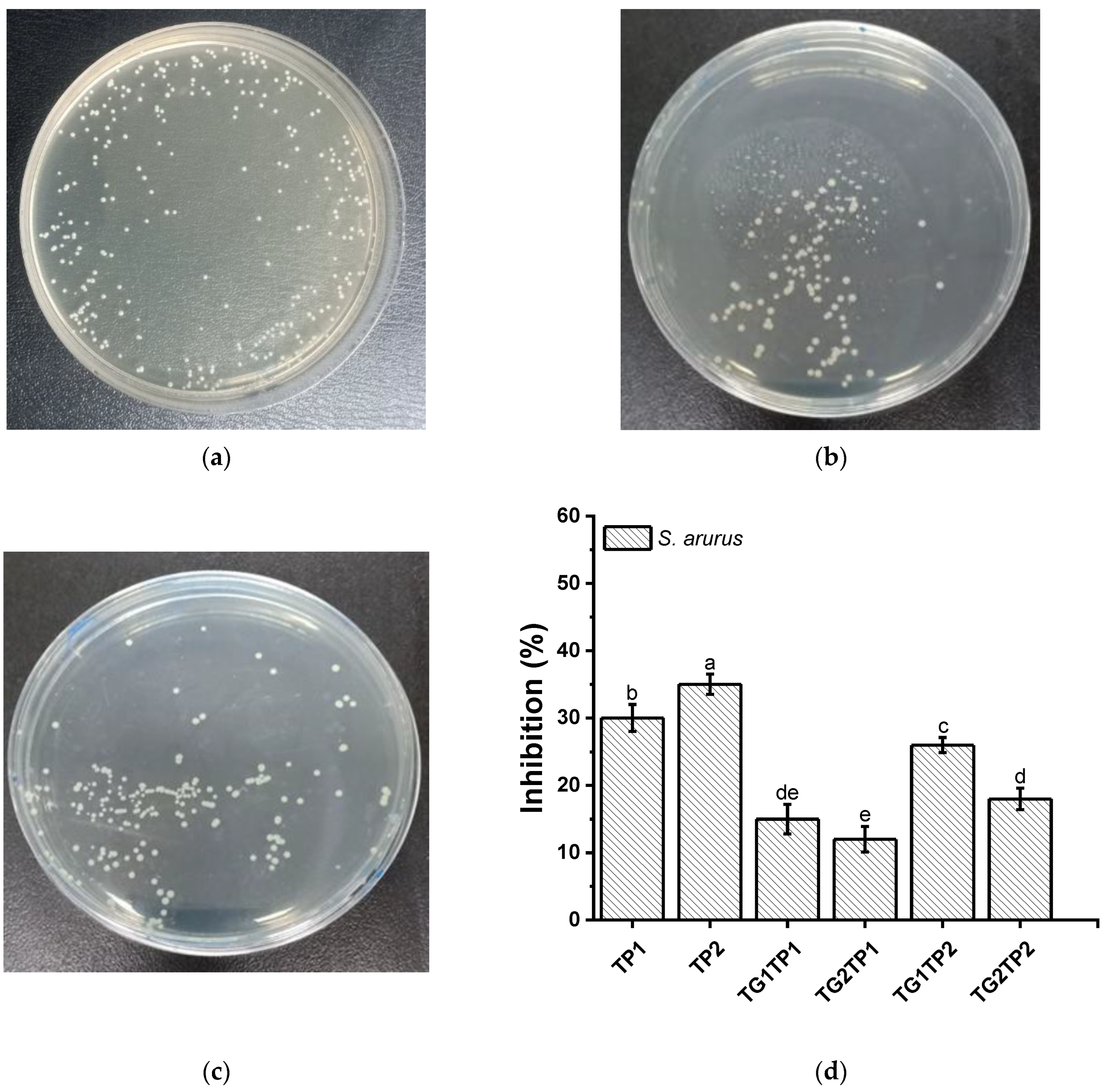 Polymers 15 02882 g007a Polymers 15 02882 g007a
