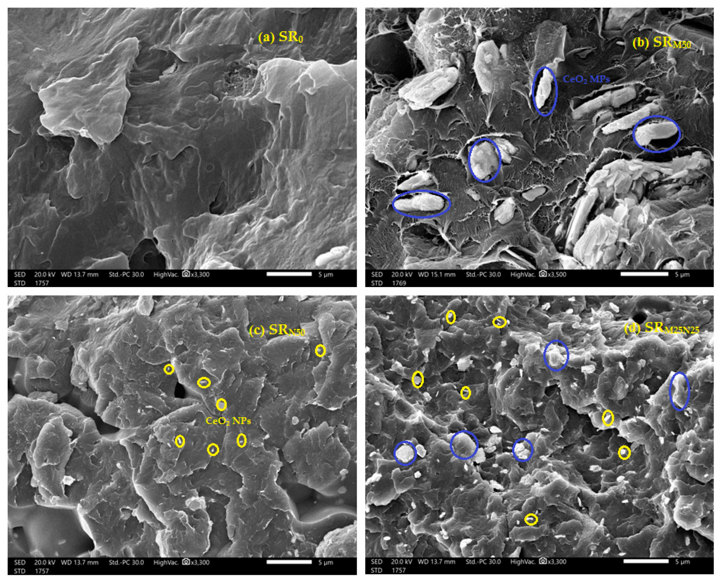 Polymers 15 02883 g003 550