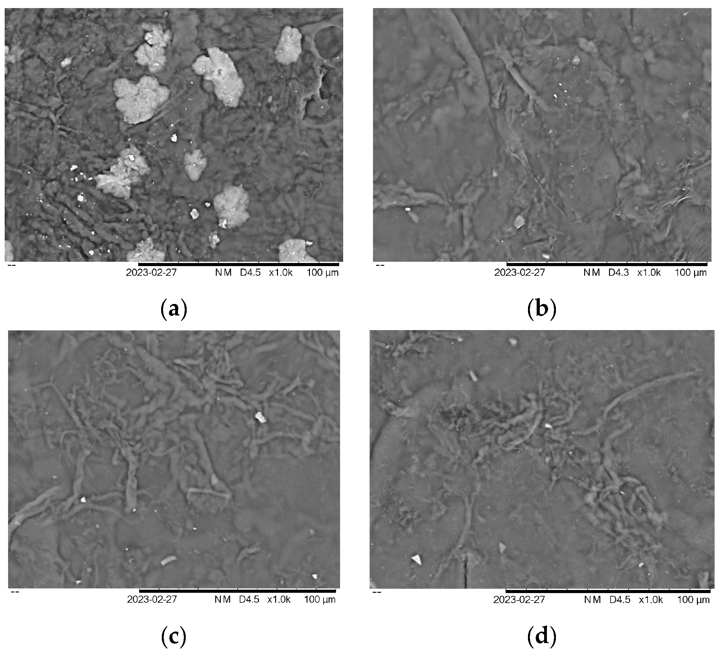 Polymers 15 02884 g005 Polymers 15 02884 g005