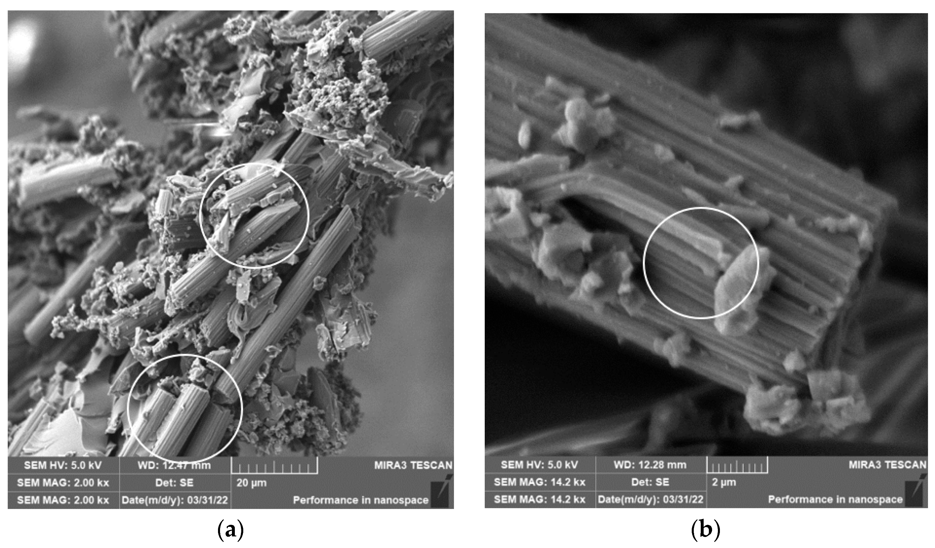 Polymers 15 02888 g004