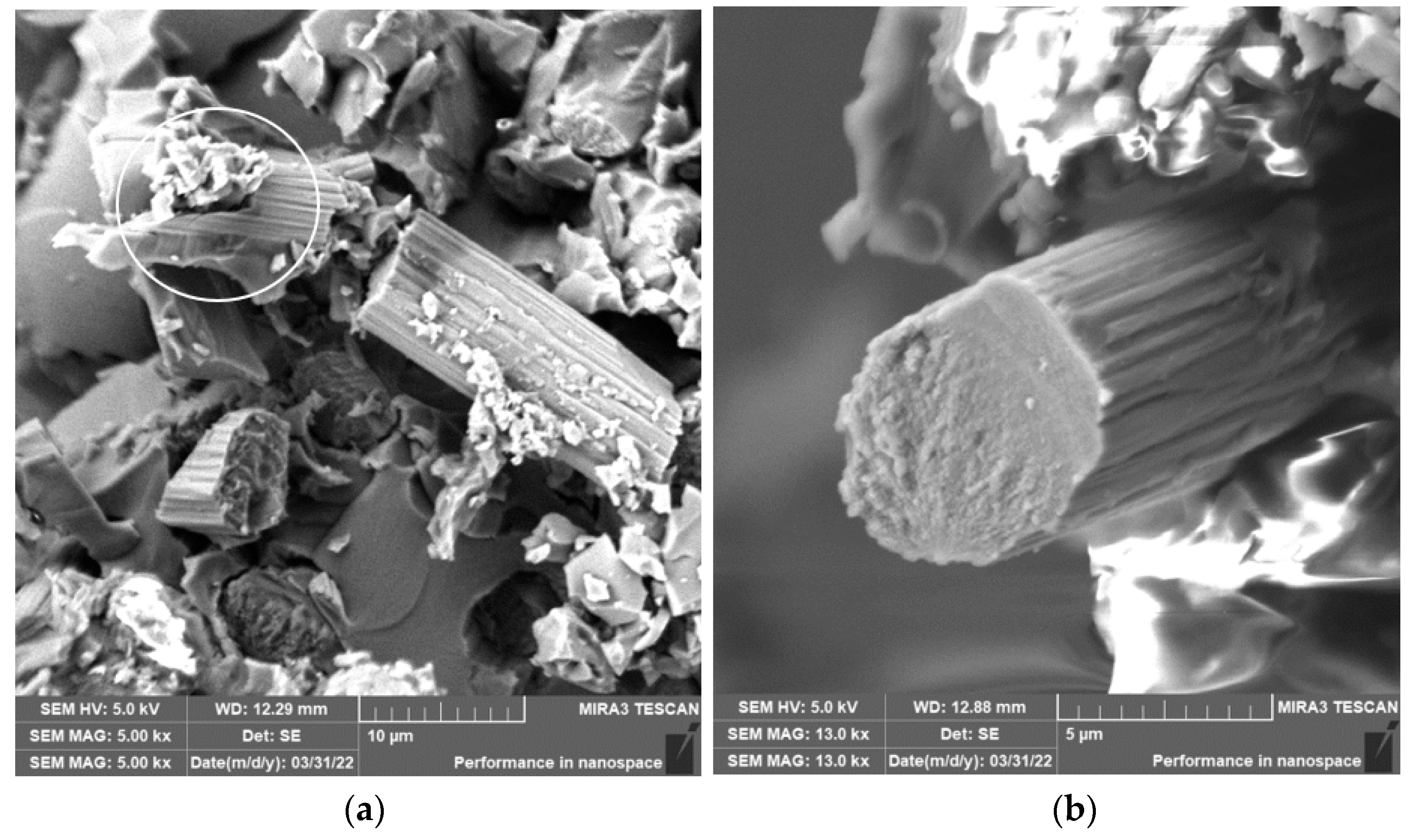 Polymers 15 02888 g008