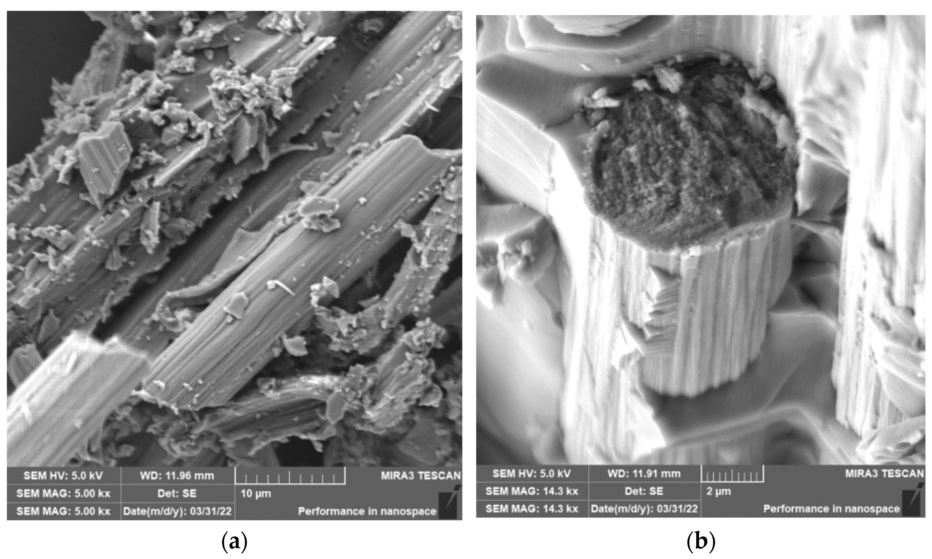 Polymers 15 02888 g010