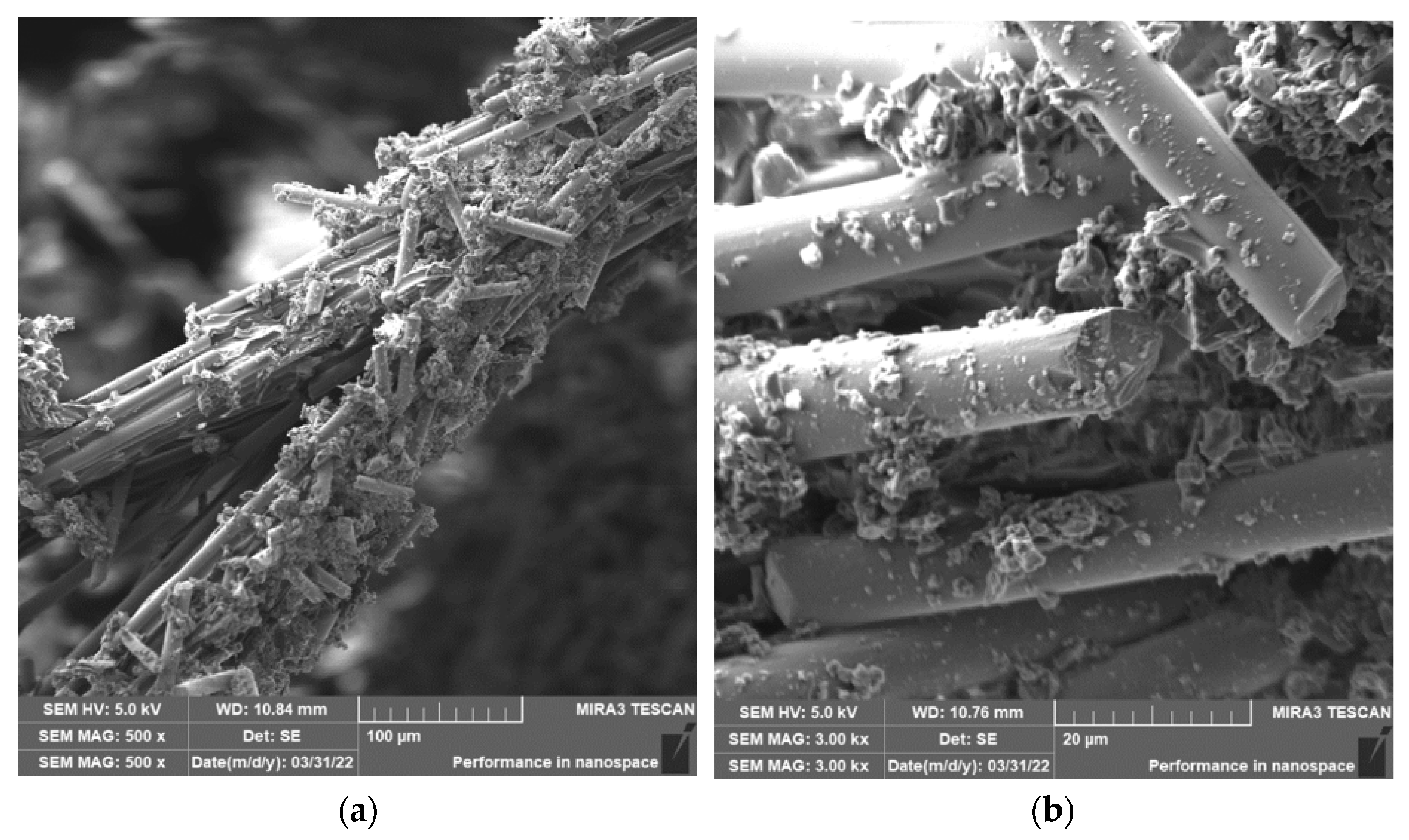Polymers 15 02888 g013