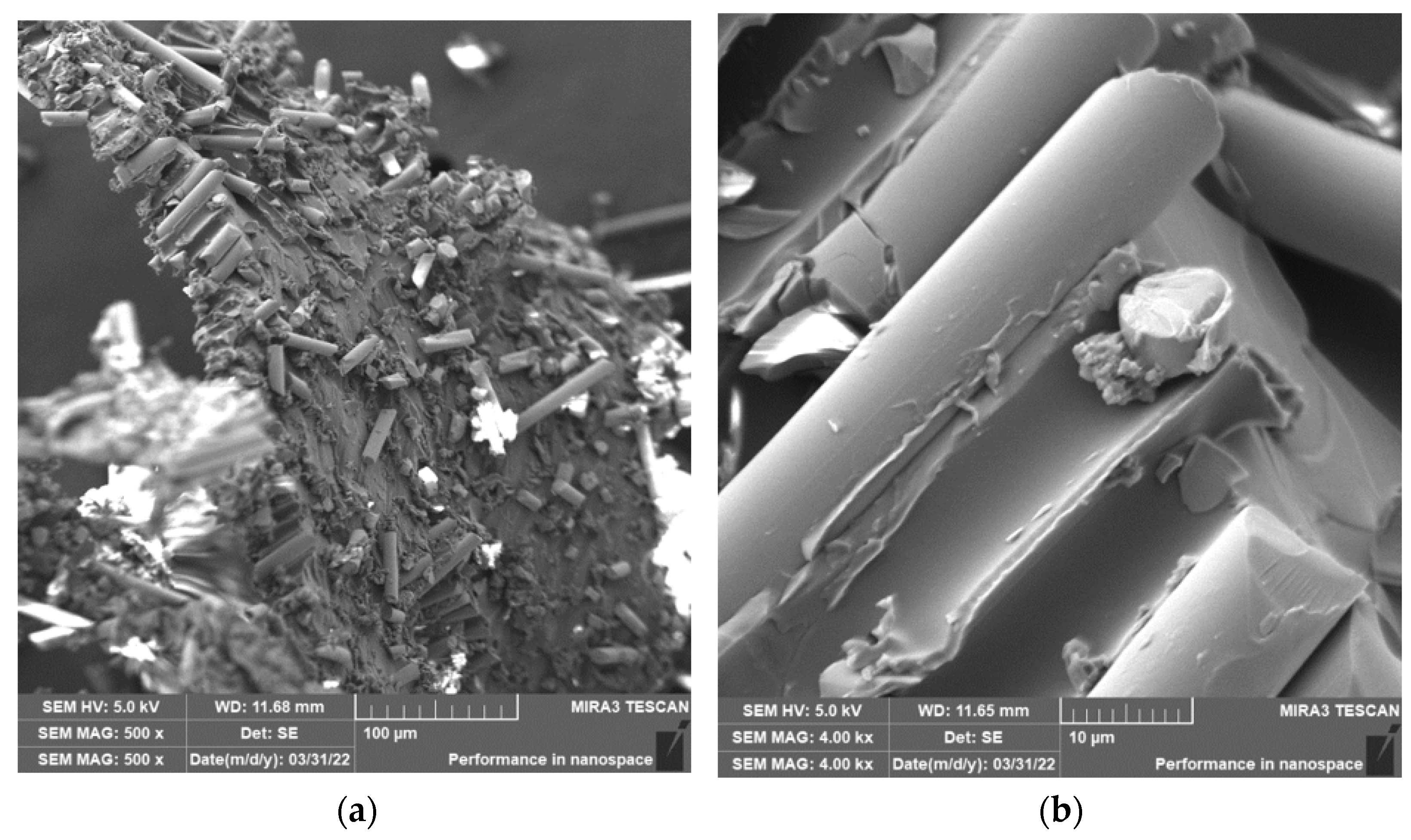 Polymers 15 02888 g016