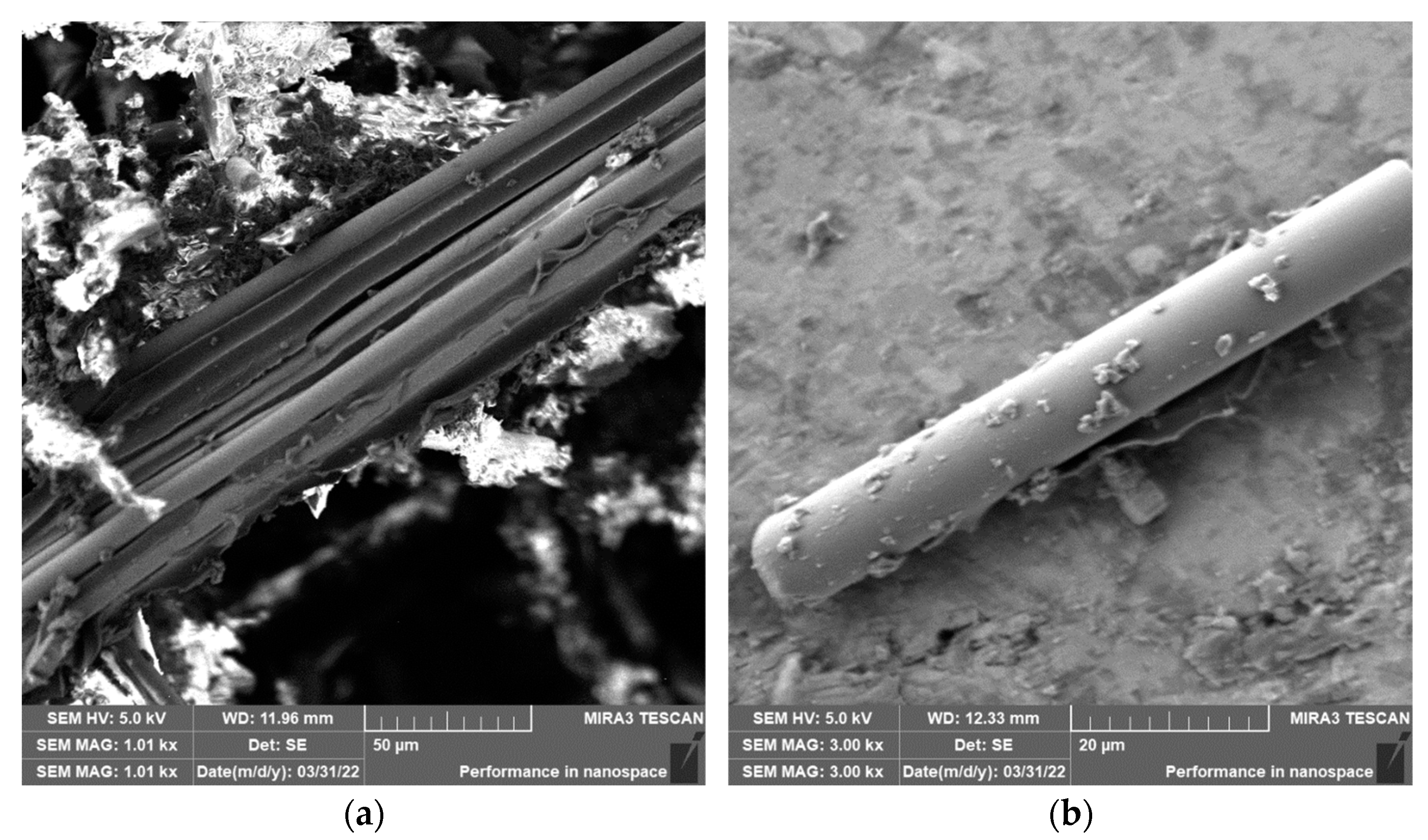 Polymers 15 02888 g019