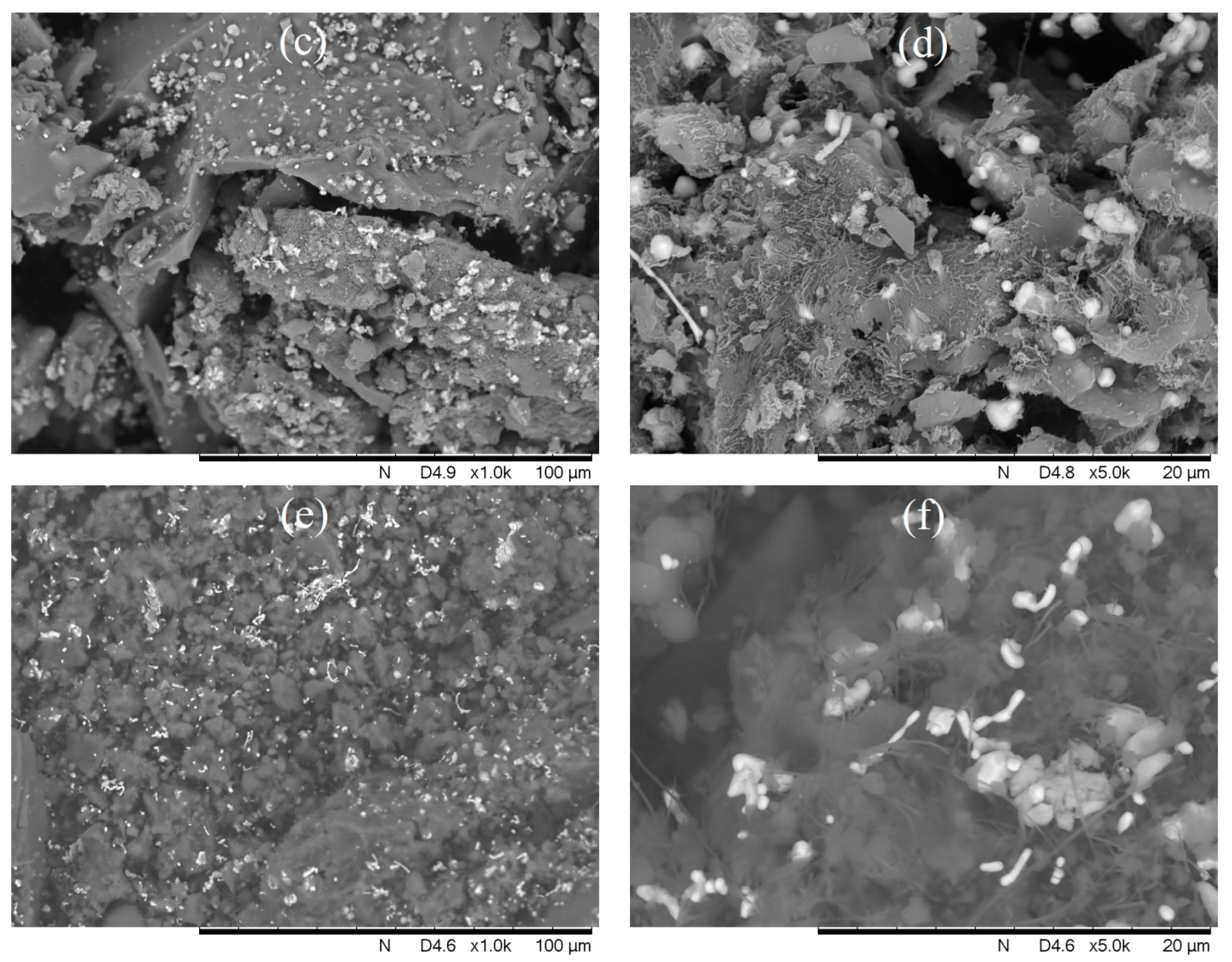 Polymers 15 02894 g007b Polymers 15 02894 g007b