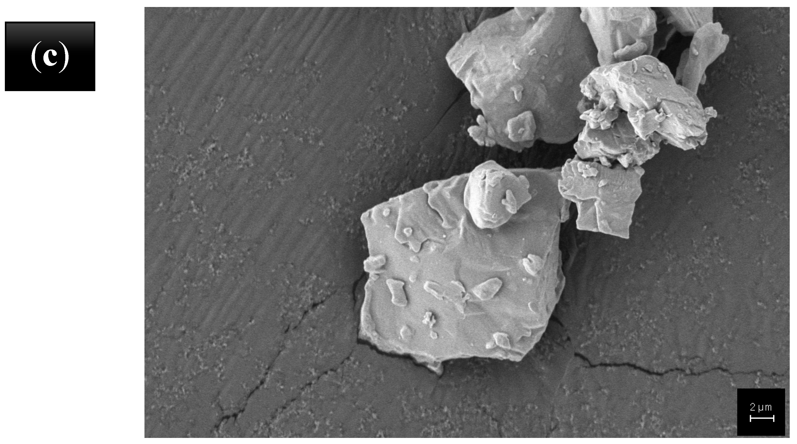 Polymers 15 02904 g003b Polymers 15 02904 g003b