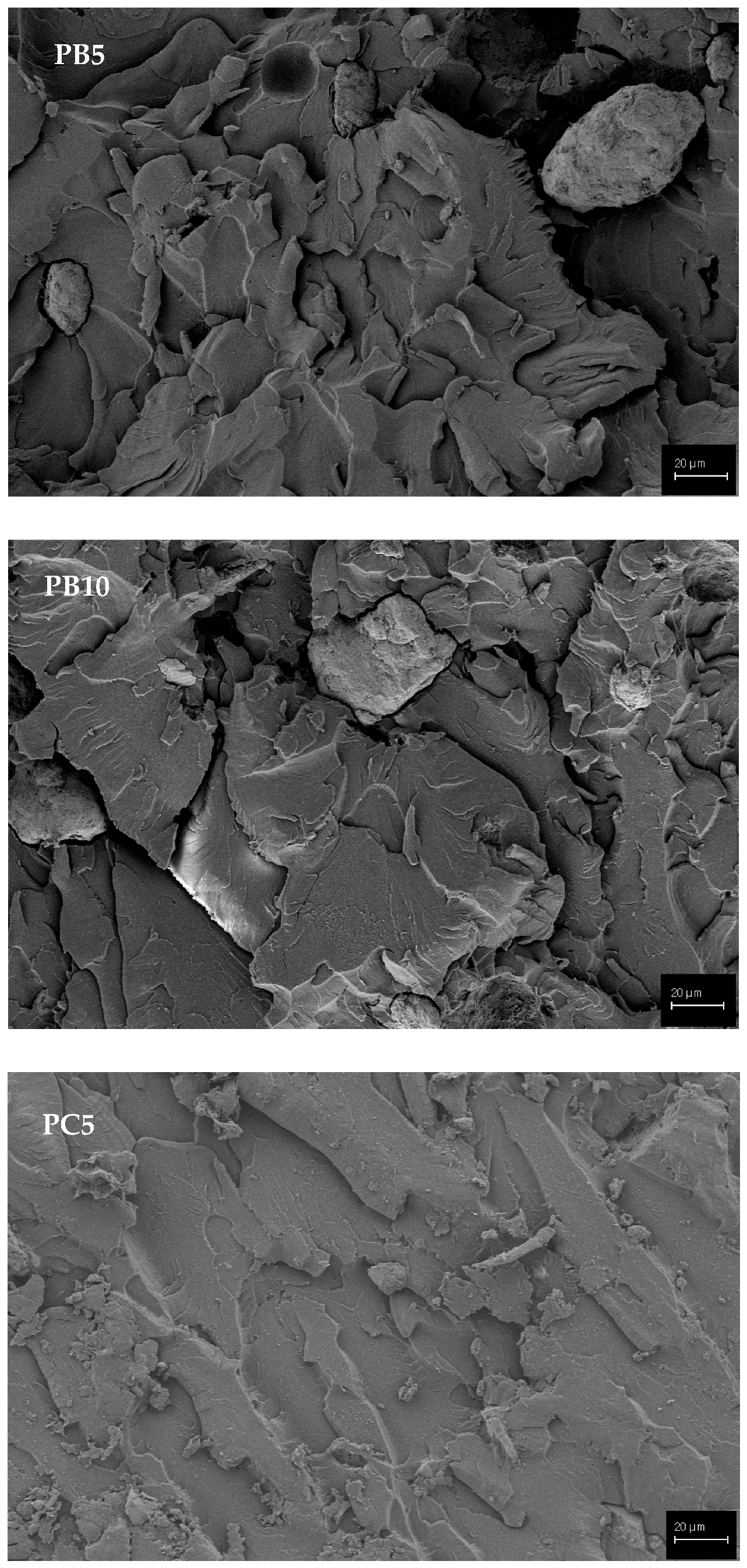 Polymers 15 02904 g008b Polymers 15 02904 g008b