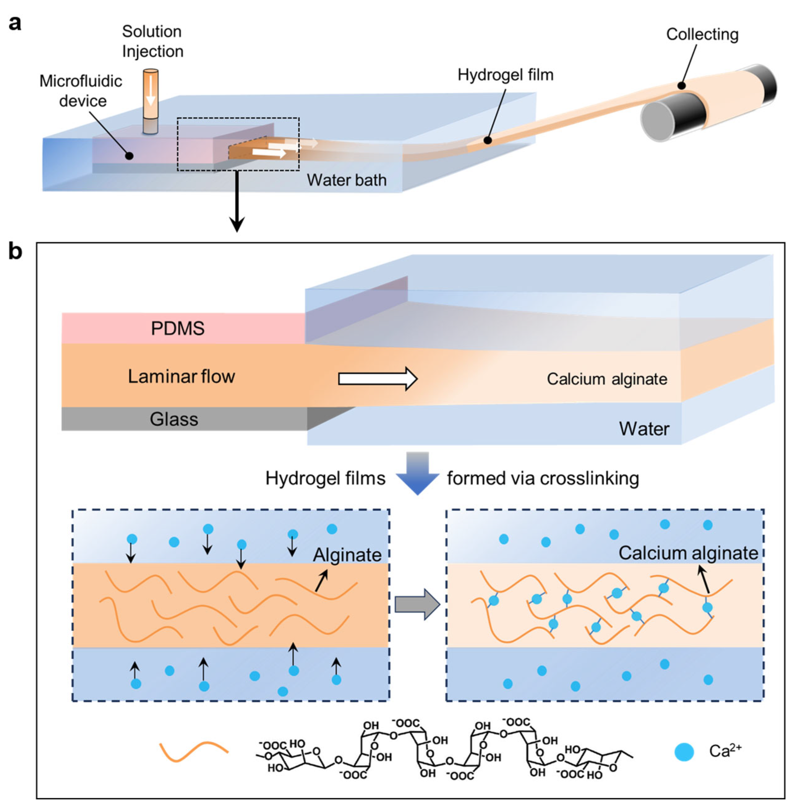 Polymers 15 02905 g002