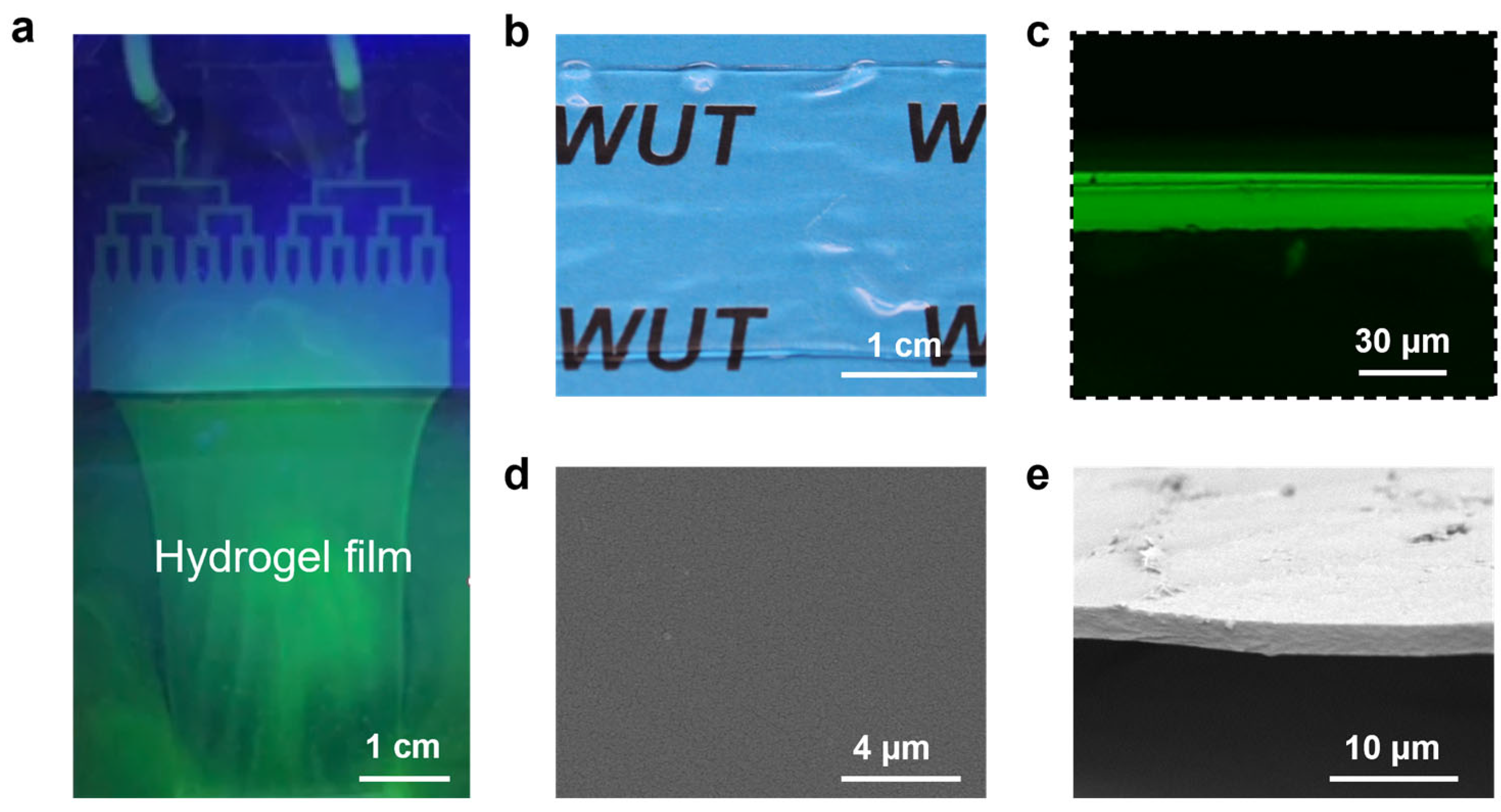 Polymers 15 02905 g003